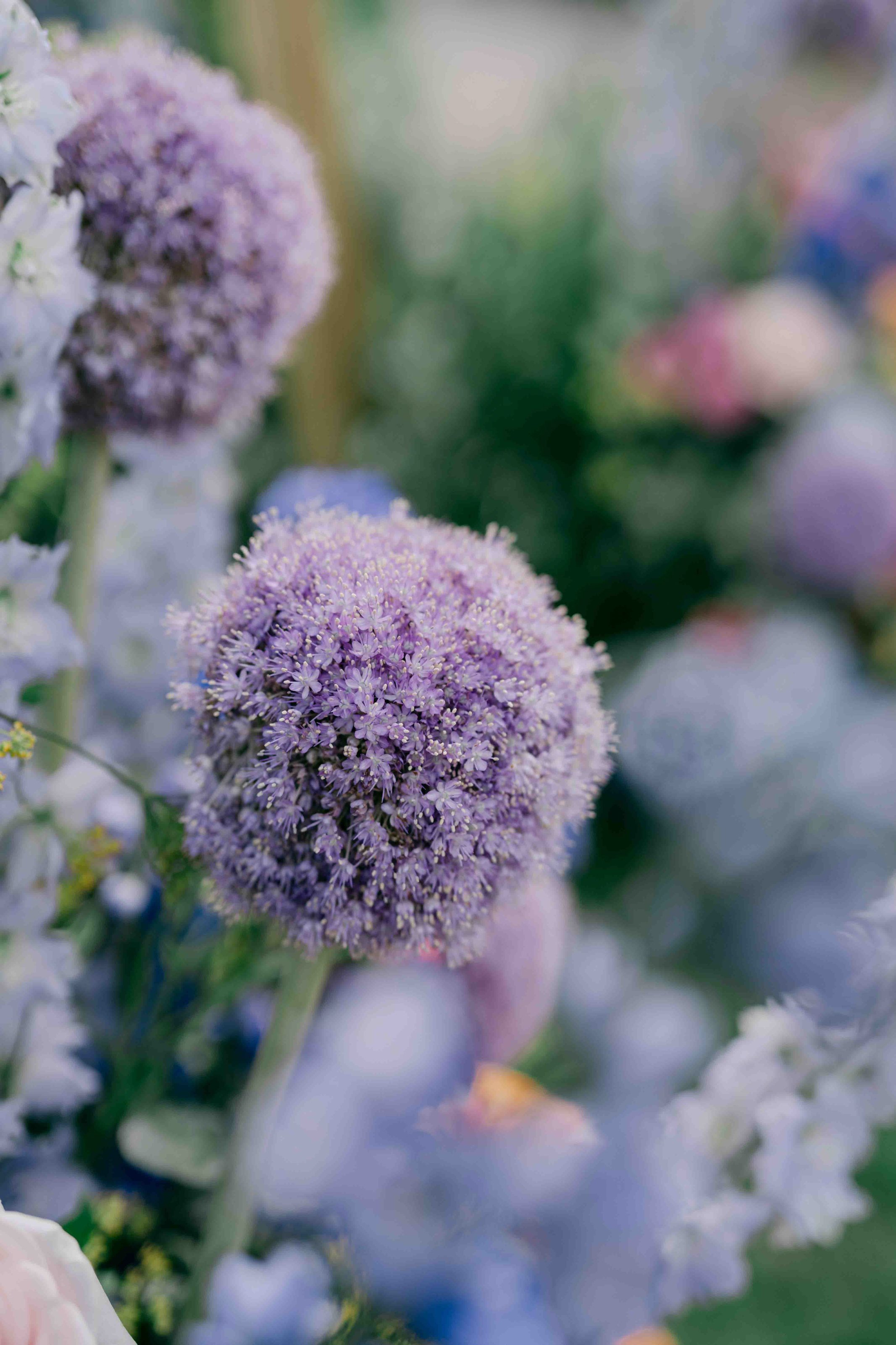  purple wedding flowers 