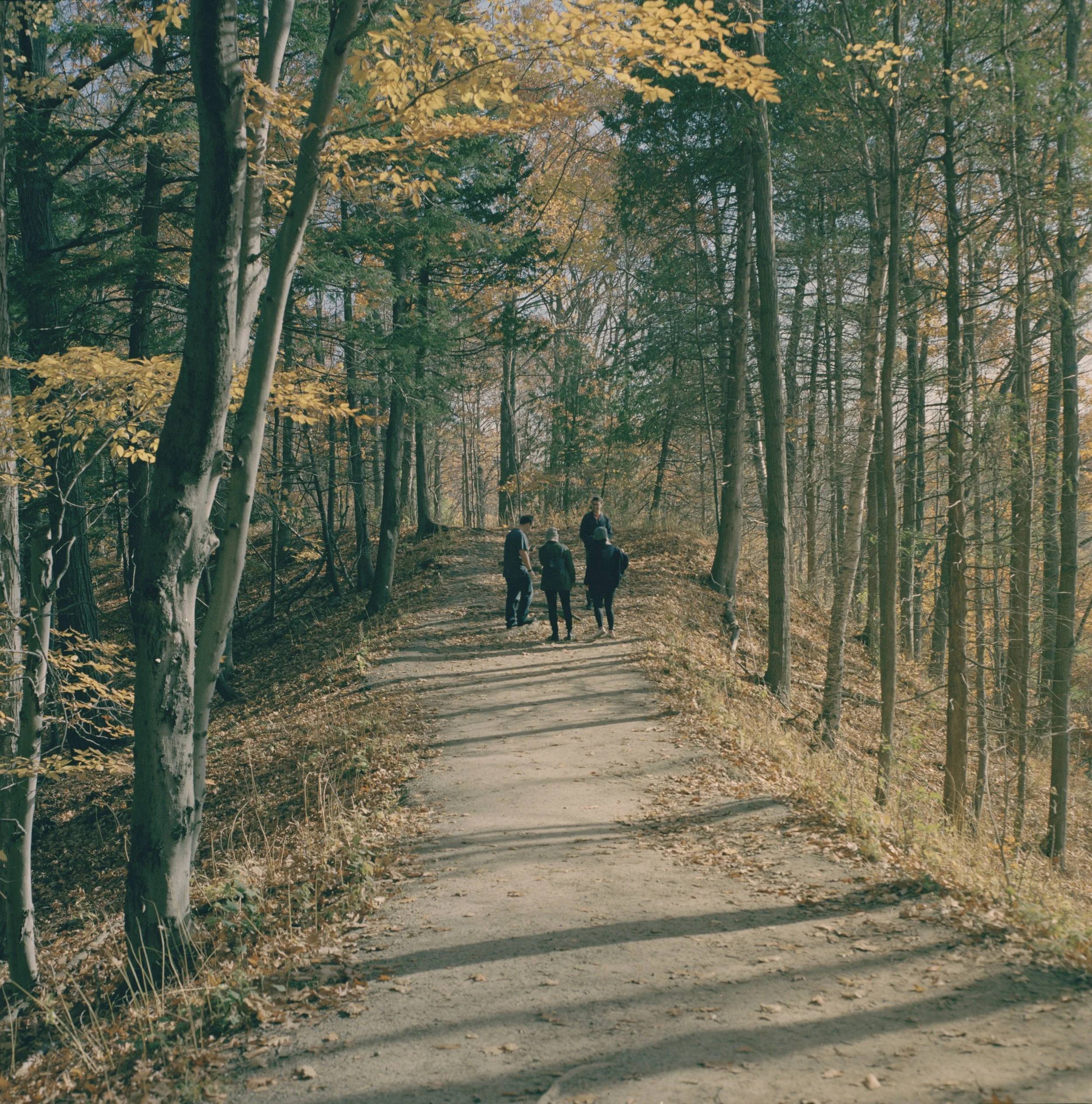 rougepark01.jpg