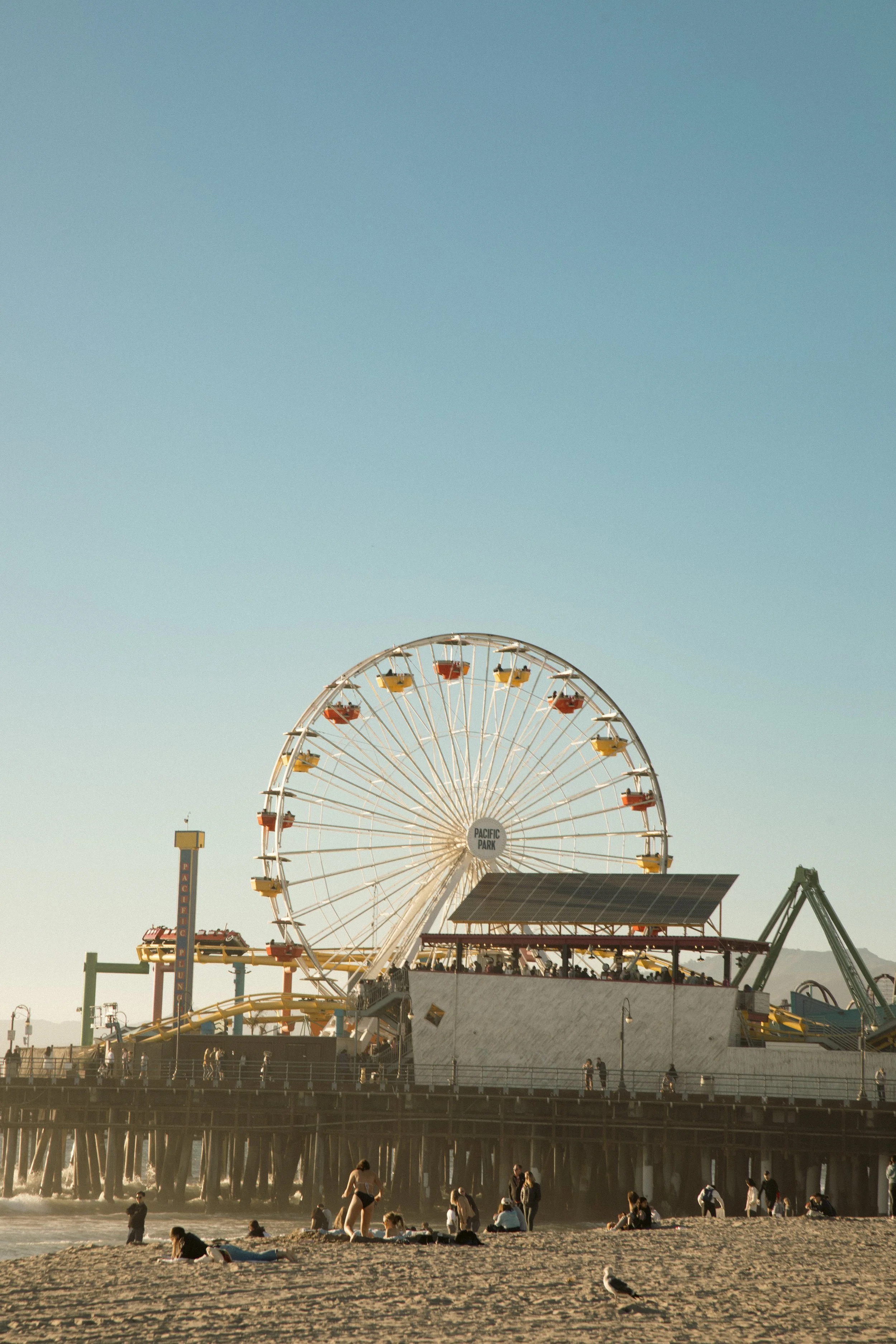 Cali07.jpg