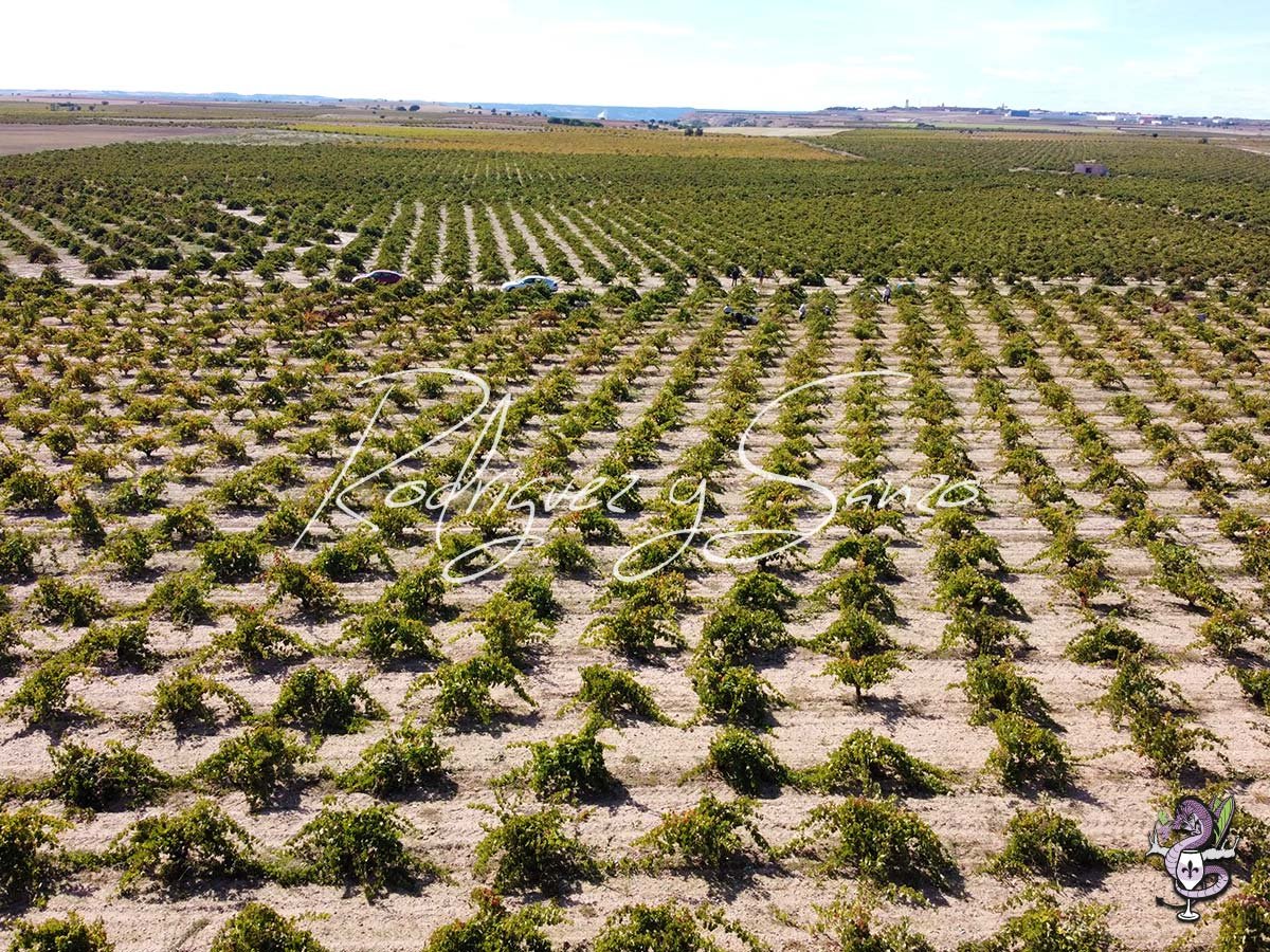 Tras la Yesca featured in Decanter 