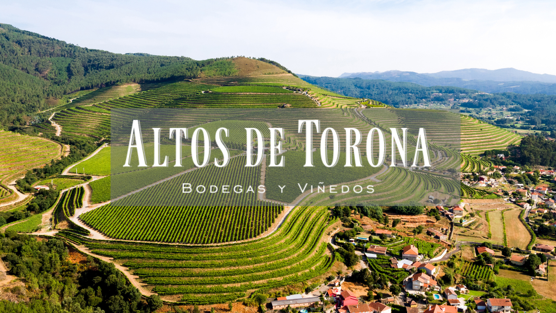 Albariño, Rias Baixas, Premium Spanish Wines, UK Importers, UK Retailers