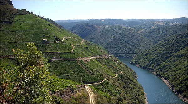 ribeira.jpg