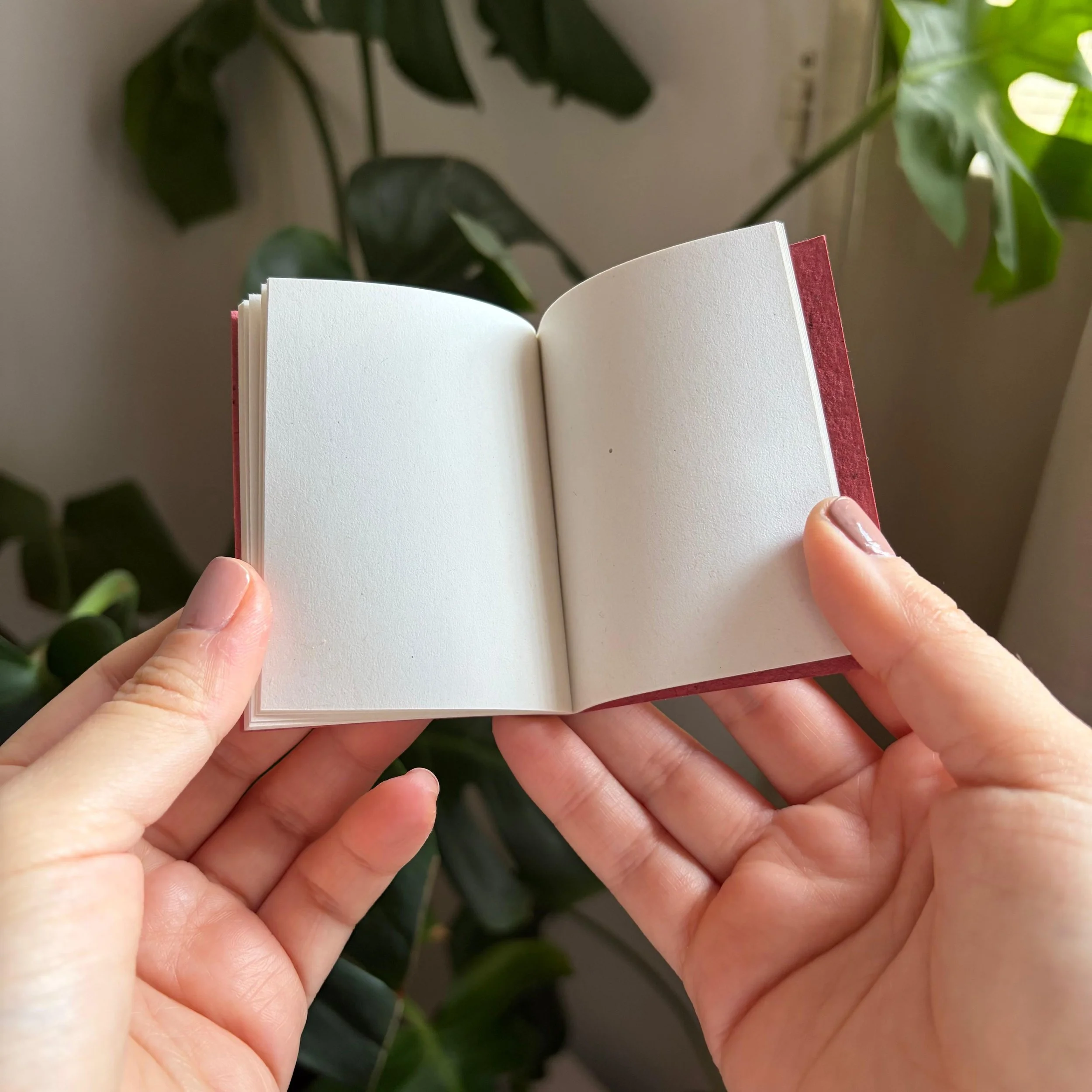 WhatsApp Image 2025-11-12 at 10.50.27.jpeg