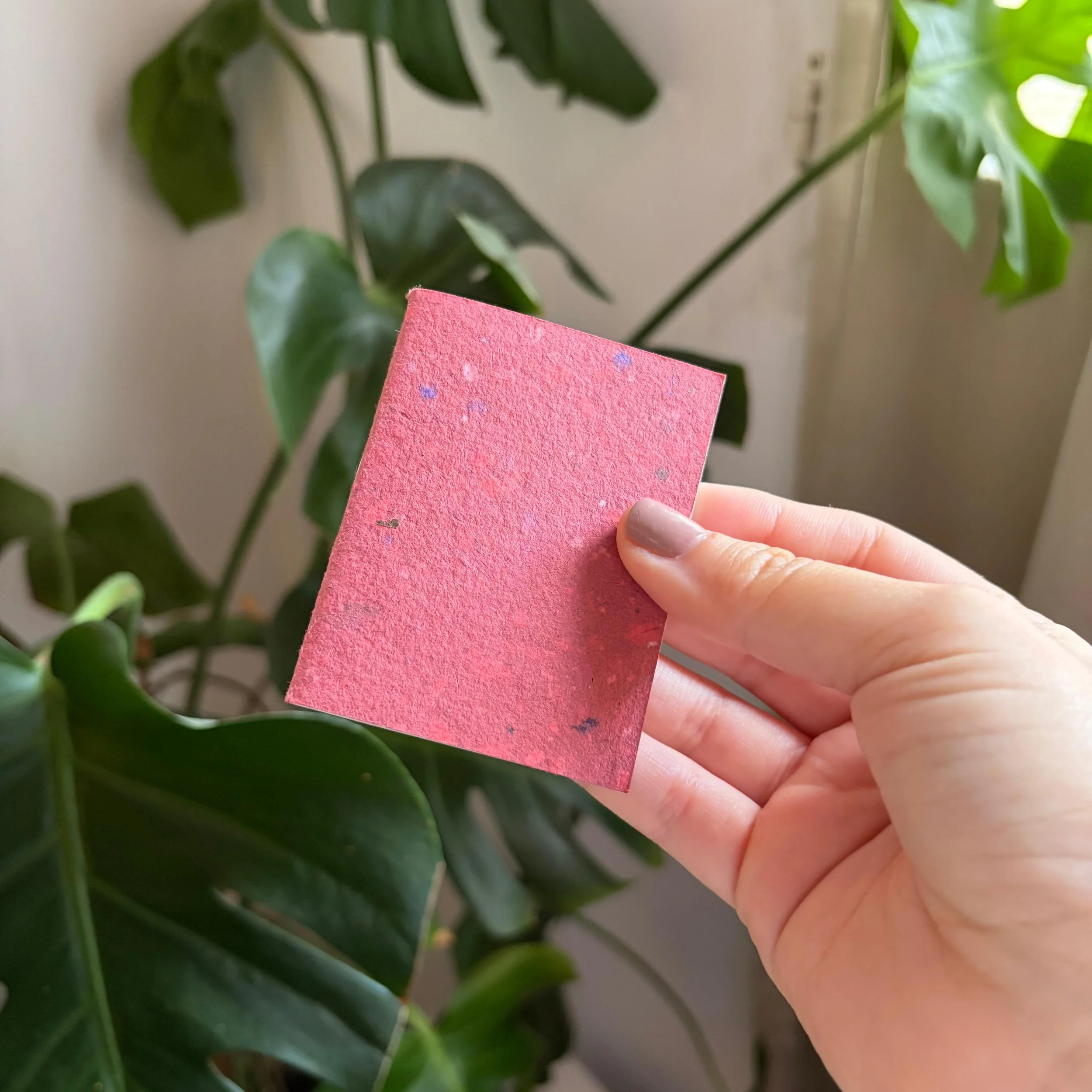 WhatsApp Image 2025-11-12 at 10.50.27 (1).jpeg