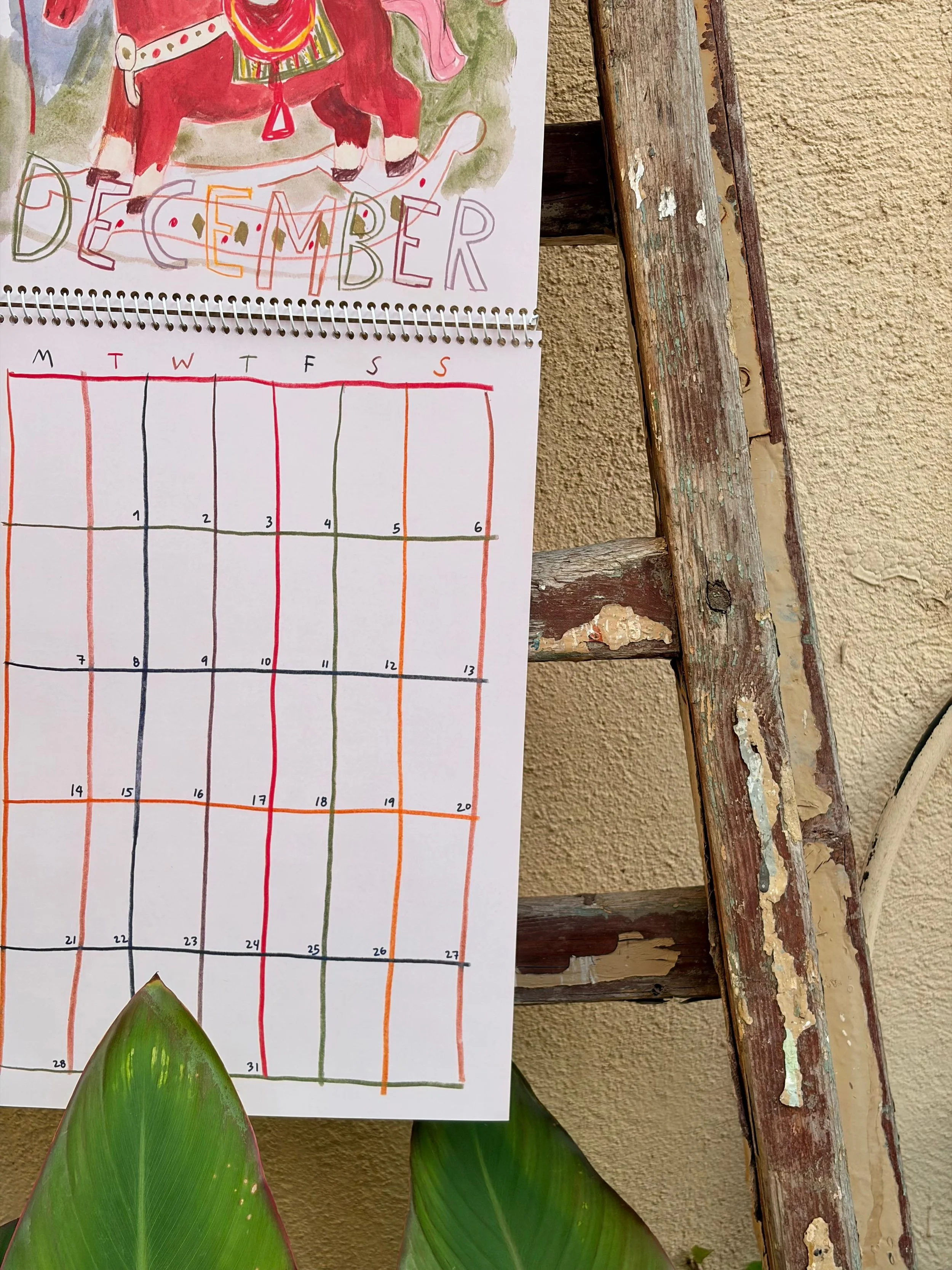 WhatsApp Image 2025-11-10 at 17.00.32 (9).jpeg