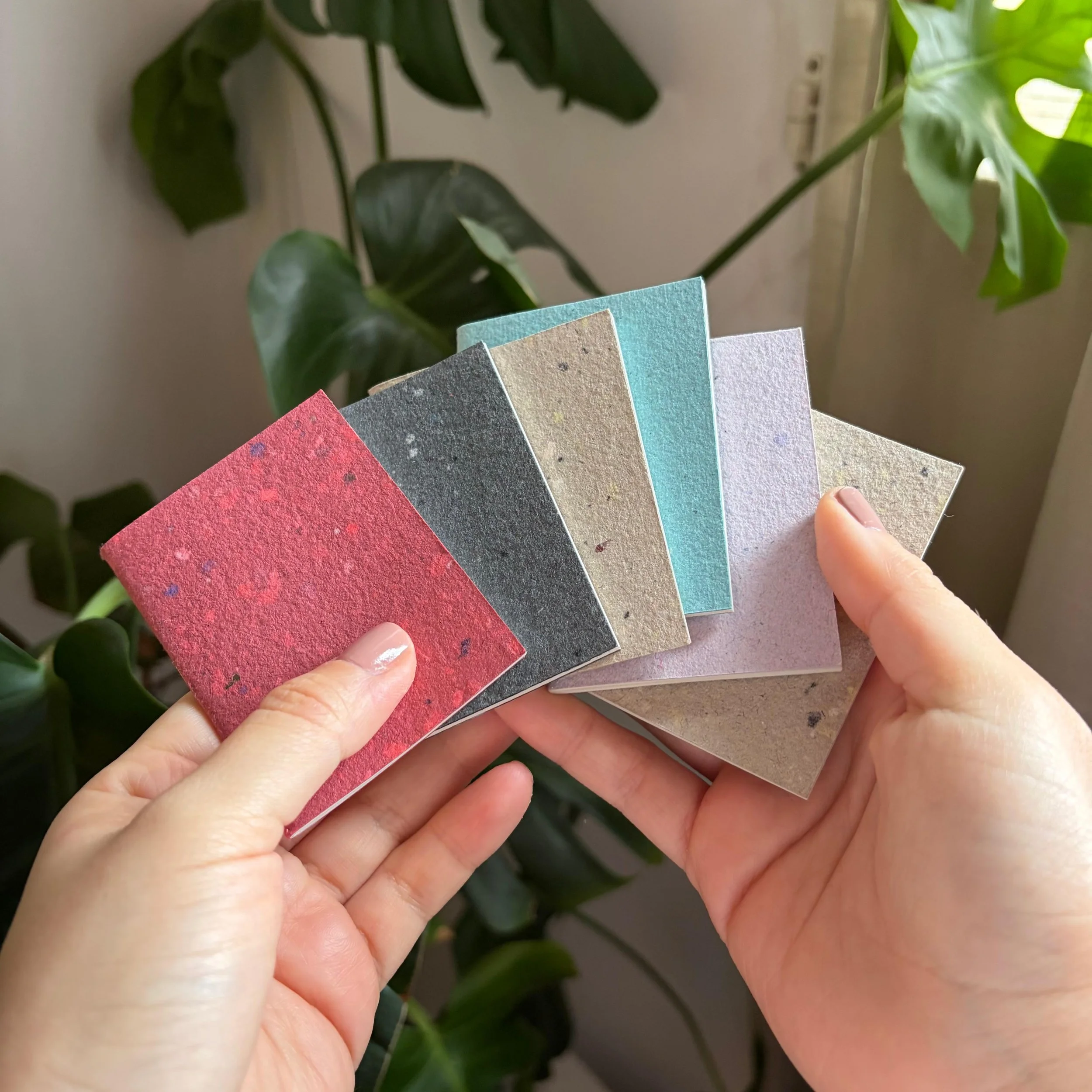 WhatsApp Image 2025-11-12 at 10.50.26.jpeg