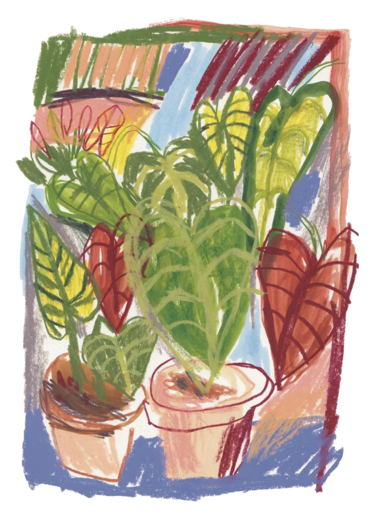 Tropical Plant — Art Print