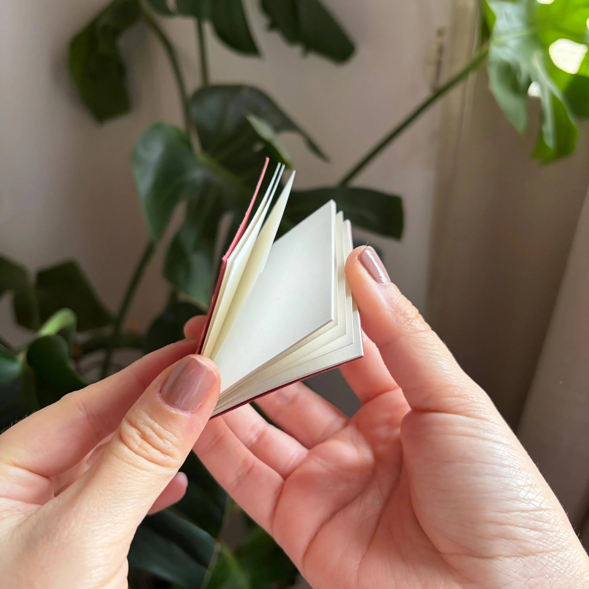 WhatsApp Image 2025-11-12 at 10.50.26 (1).jpeg