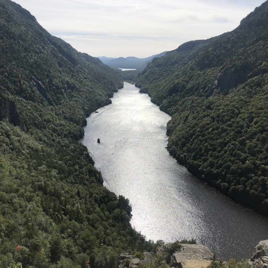 More of this, please