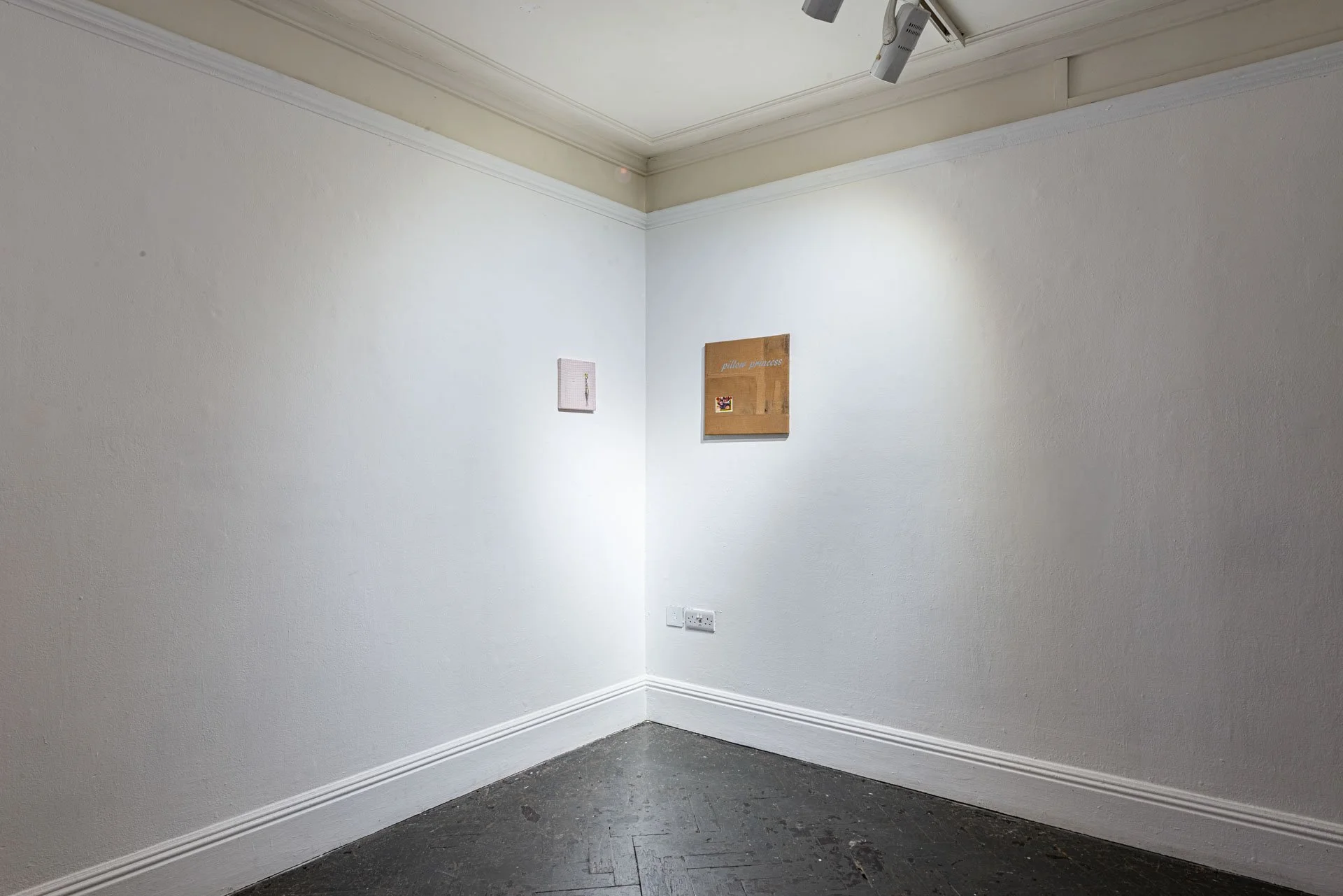 Great Catch and Pillow Princess by Eva Dixon