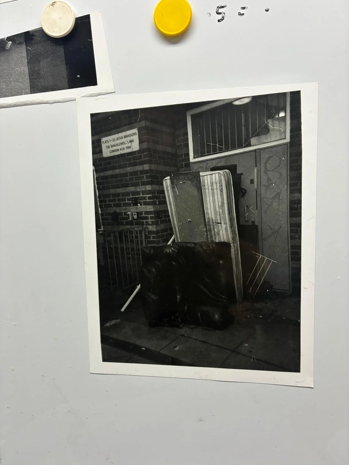 WhatsApp Image 2025-12-15 at 11.56.42.jpeg