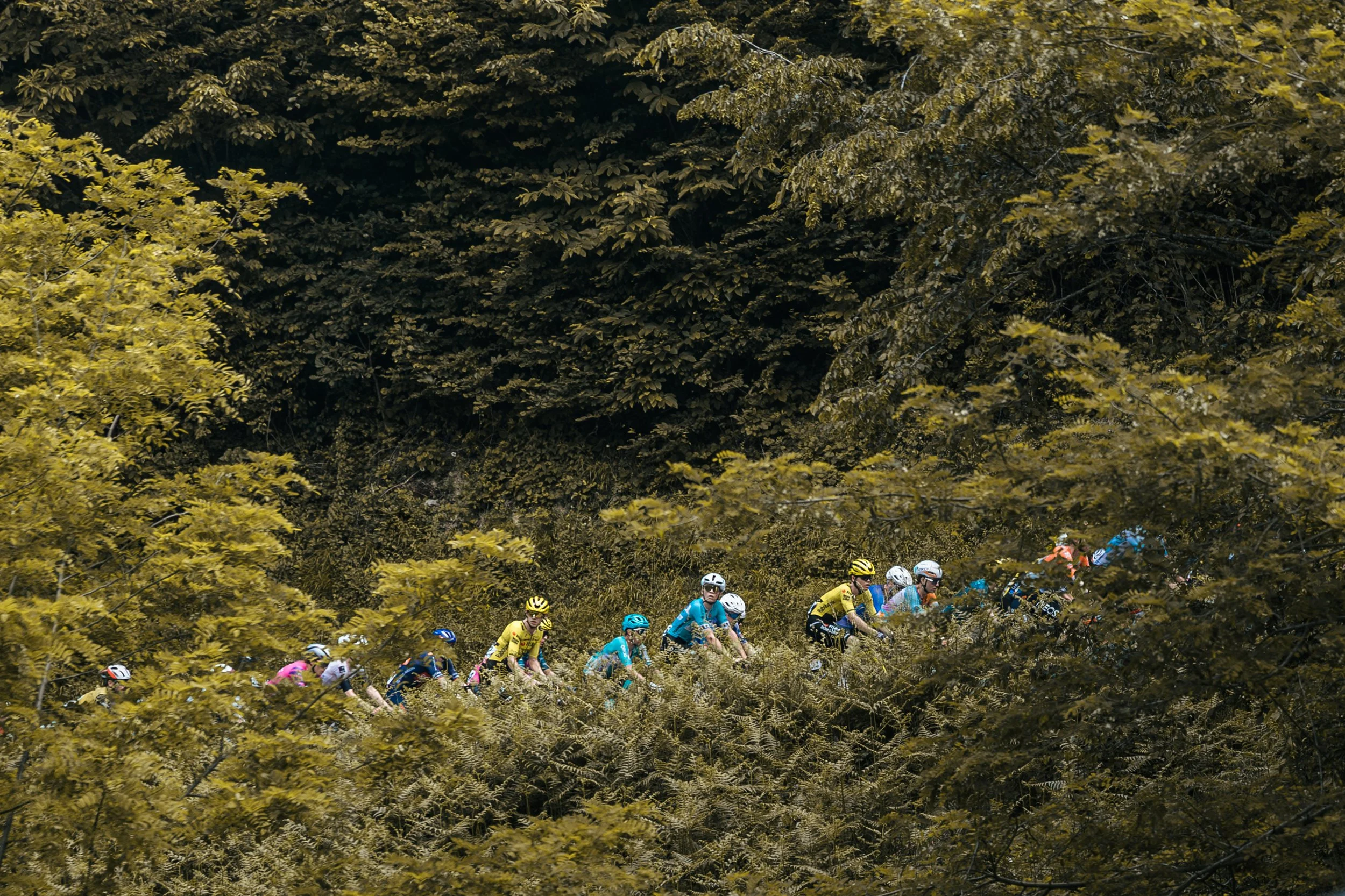 Alpes Isère Tour 2026 (vélo)