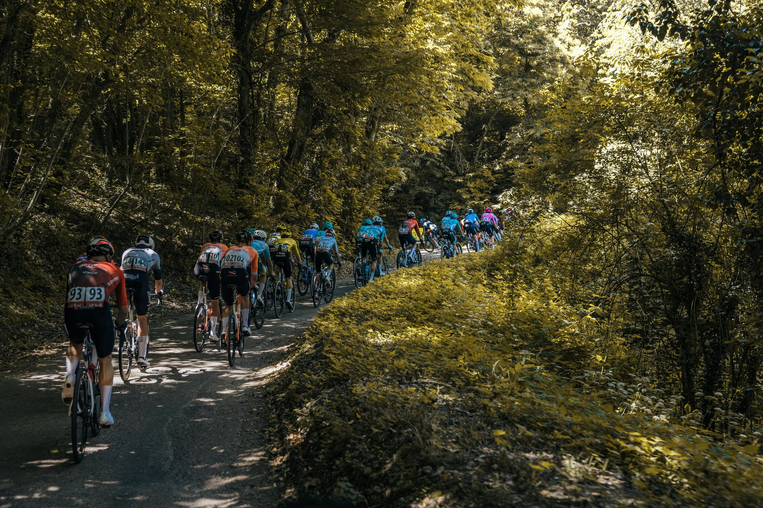 Alpes Isère Tour 2026 (vélo)