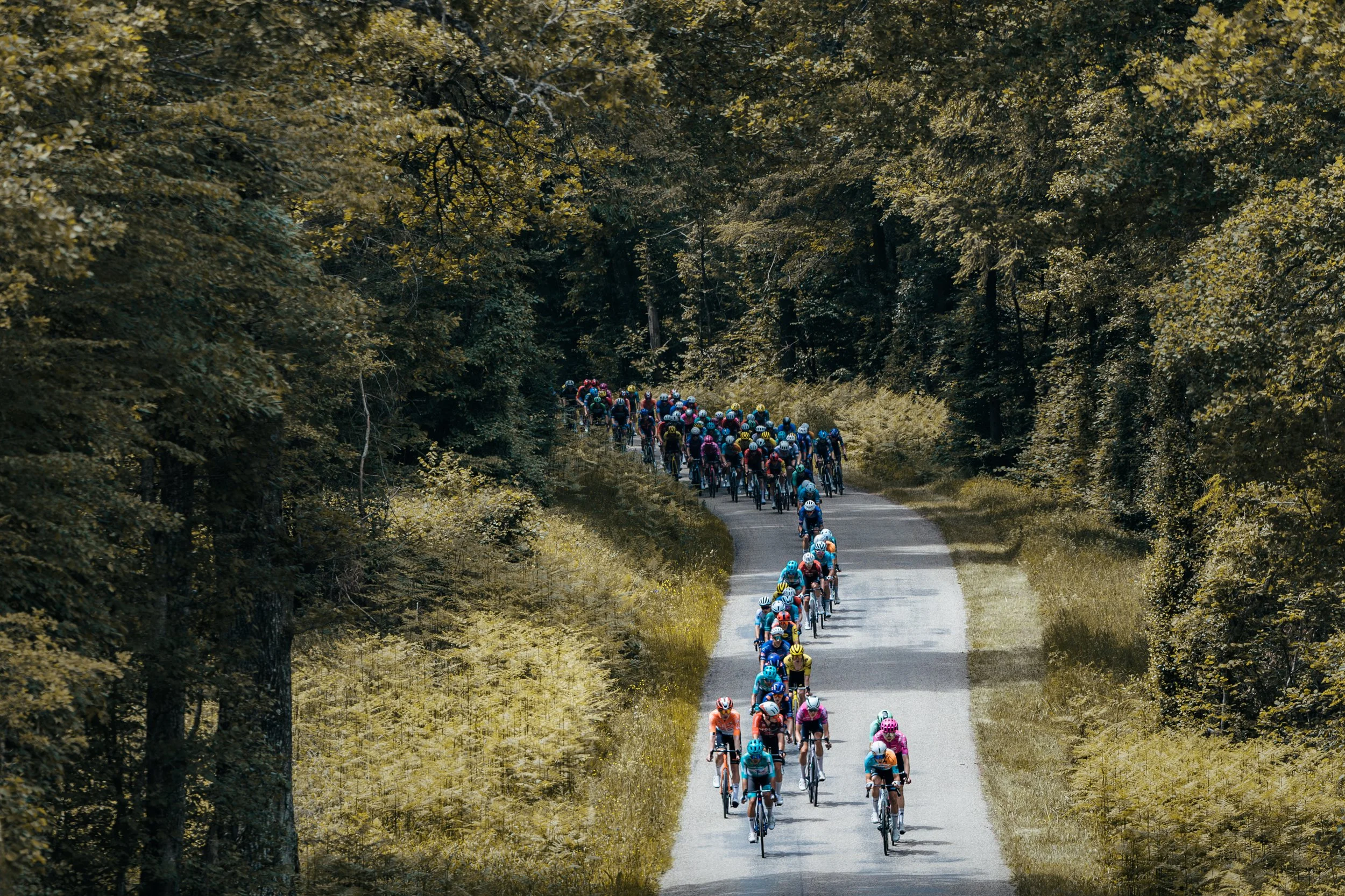 Alpes Isère Tour 2026 (vélo)