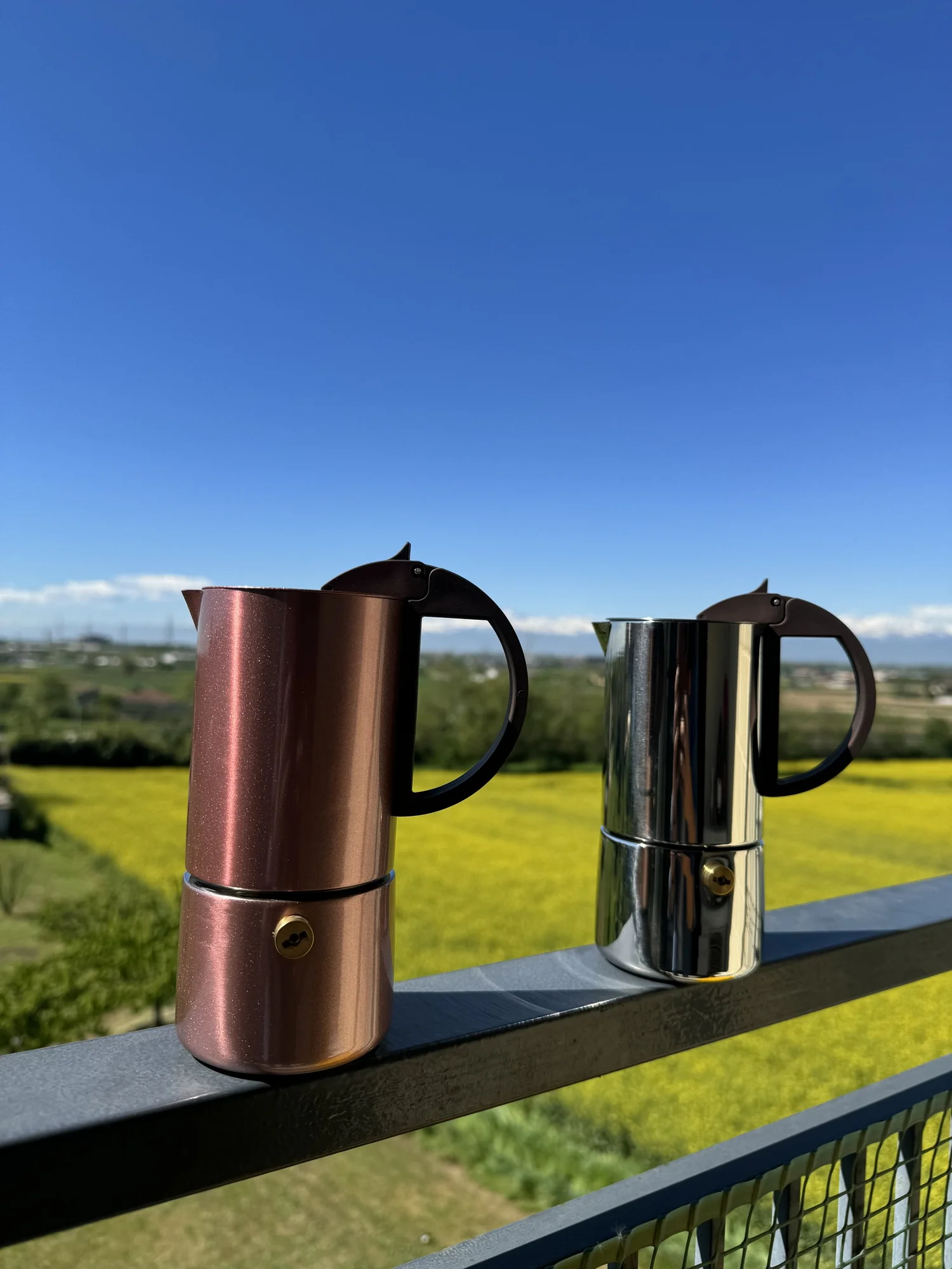 Gnali & Zani Induction Moka Pot — my moka home