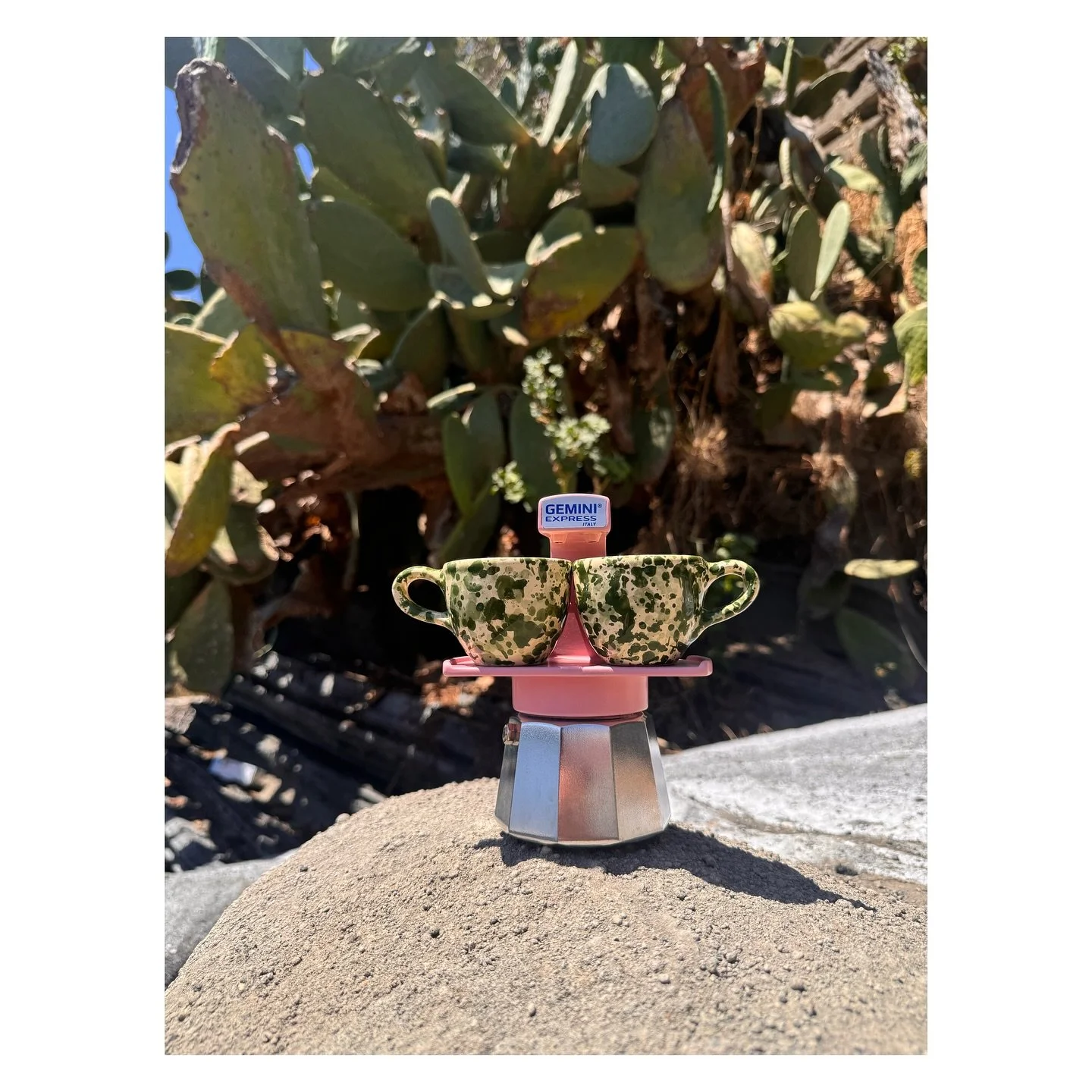 In her natural habitat ๐๐
#geminiexpress #moka #mokapot #espresso #coffee #coffeelover