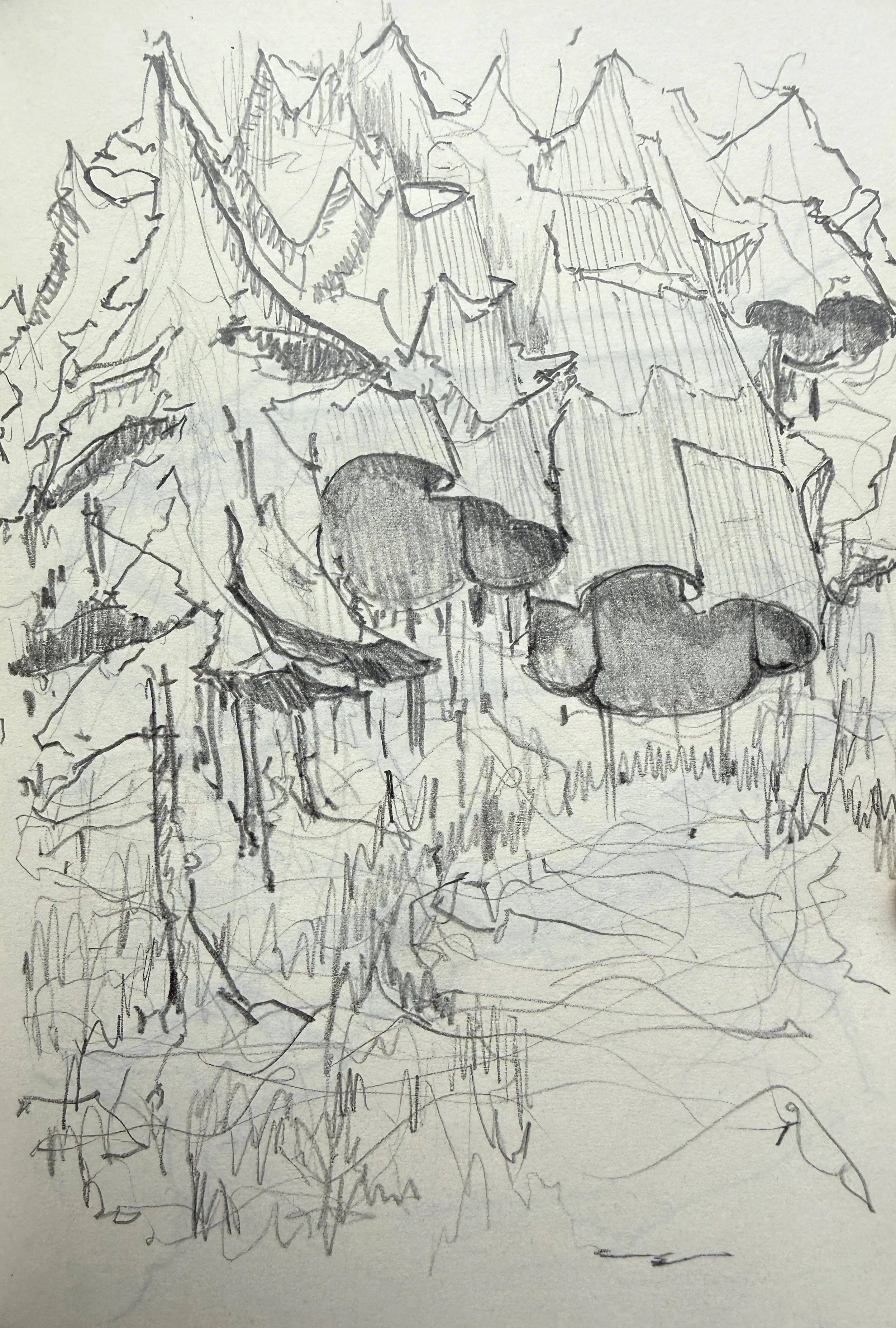 Studio_Tashima_Forest_Clearing_3.webp