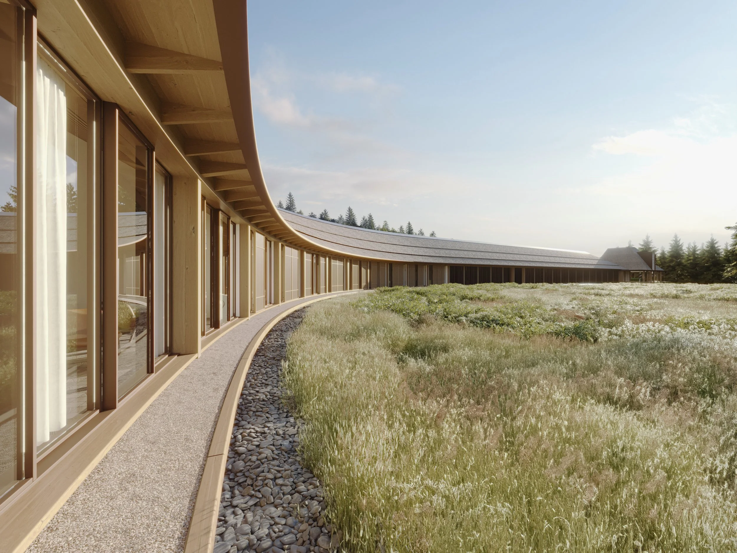 Conceptual refurbishment of an existing hotel into an eco-luxury forest retreat focused on ecological harmony.