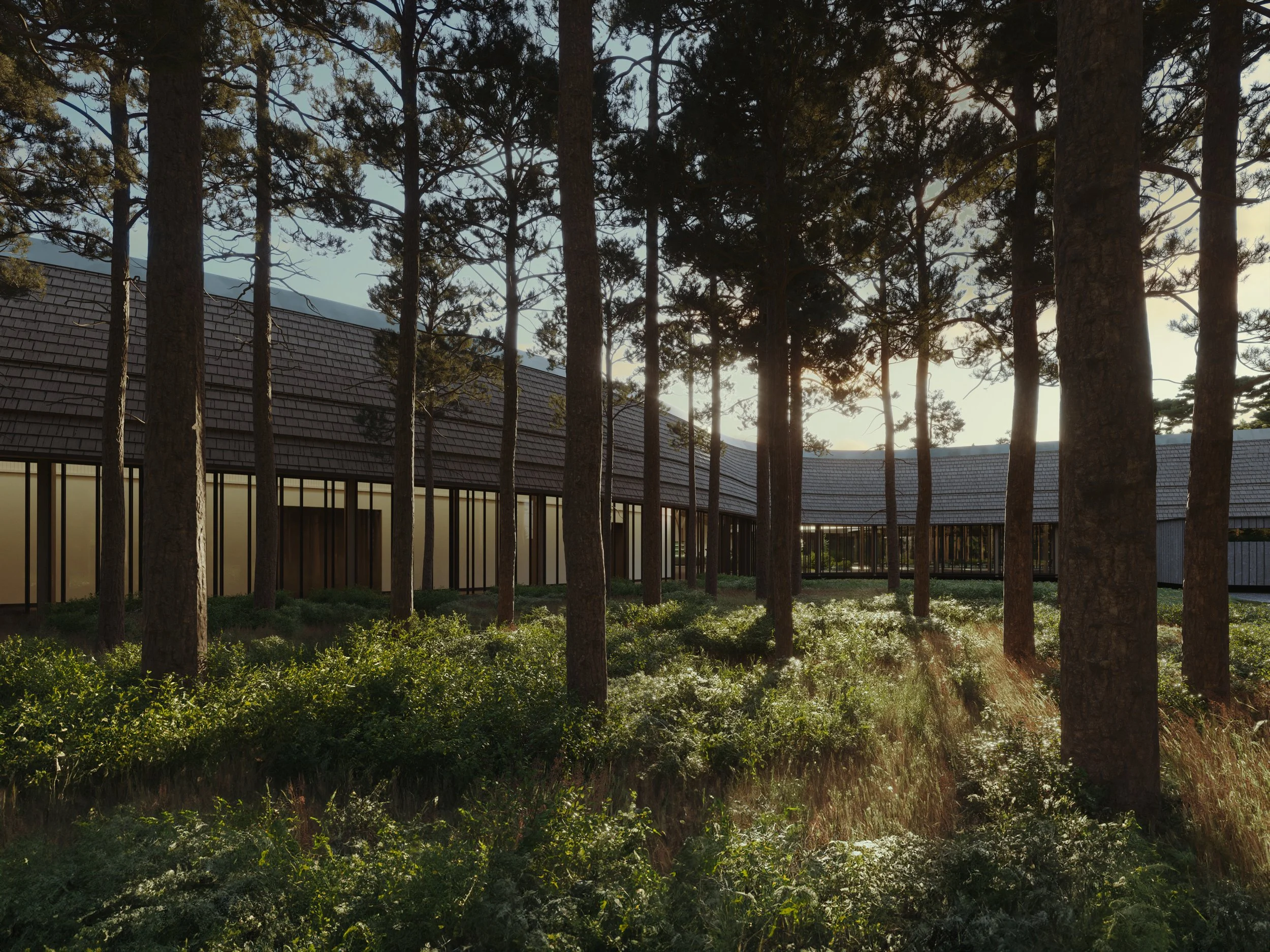 A renovation-focused hospitality project integrating sustainable design principles within a natural woodland context.