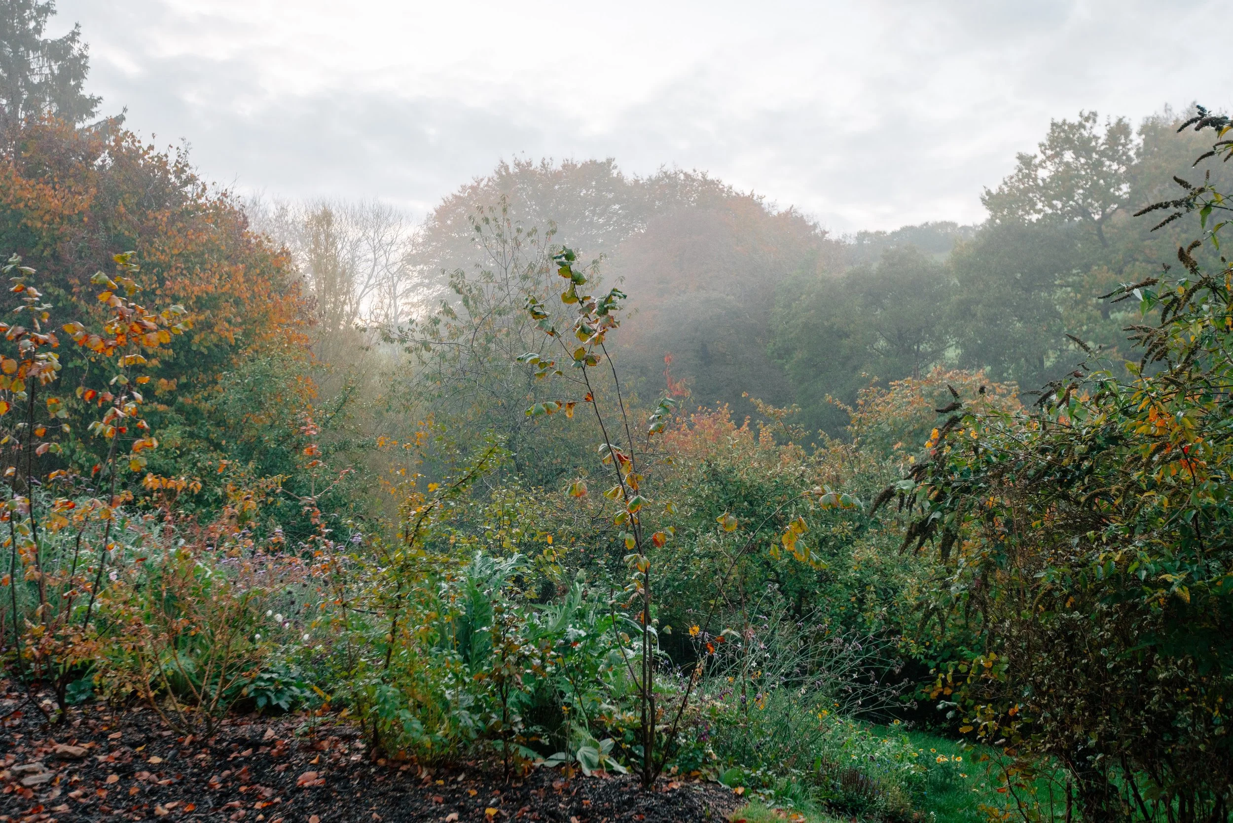 Residential home architecture and rural design for a contemporary countryside property in Somerset UK.