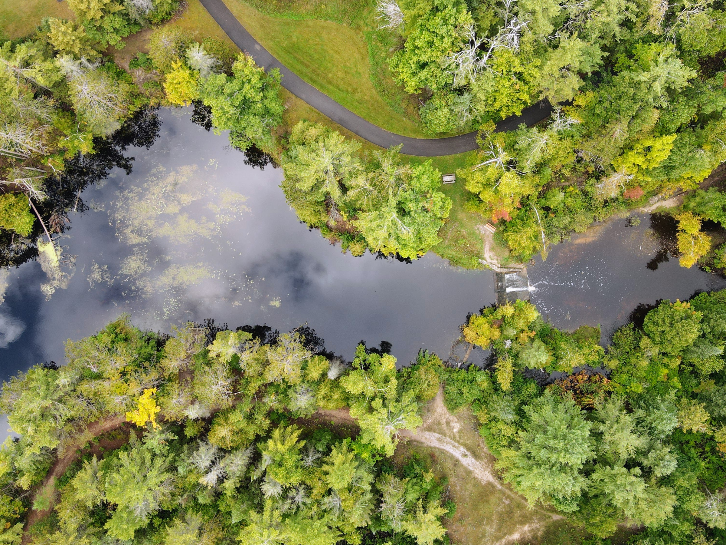 Community Information Session: Trout River Restoration at Herman Vogler Conservation Area