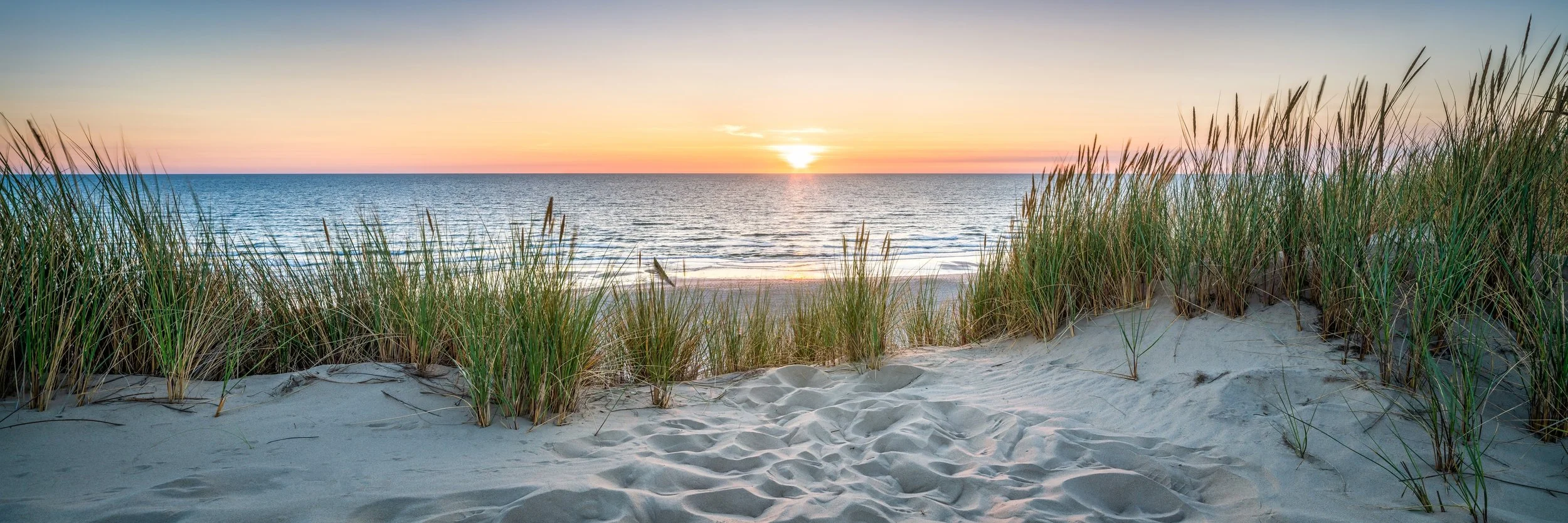 Green Ribbon Champions: Restoring Ontario’s Critical Dune Ecosystems
