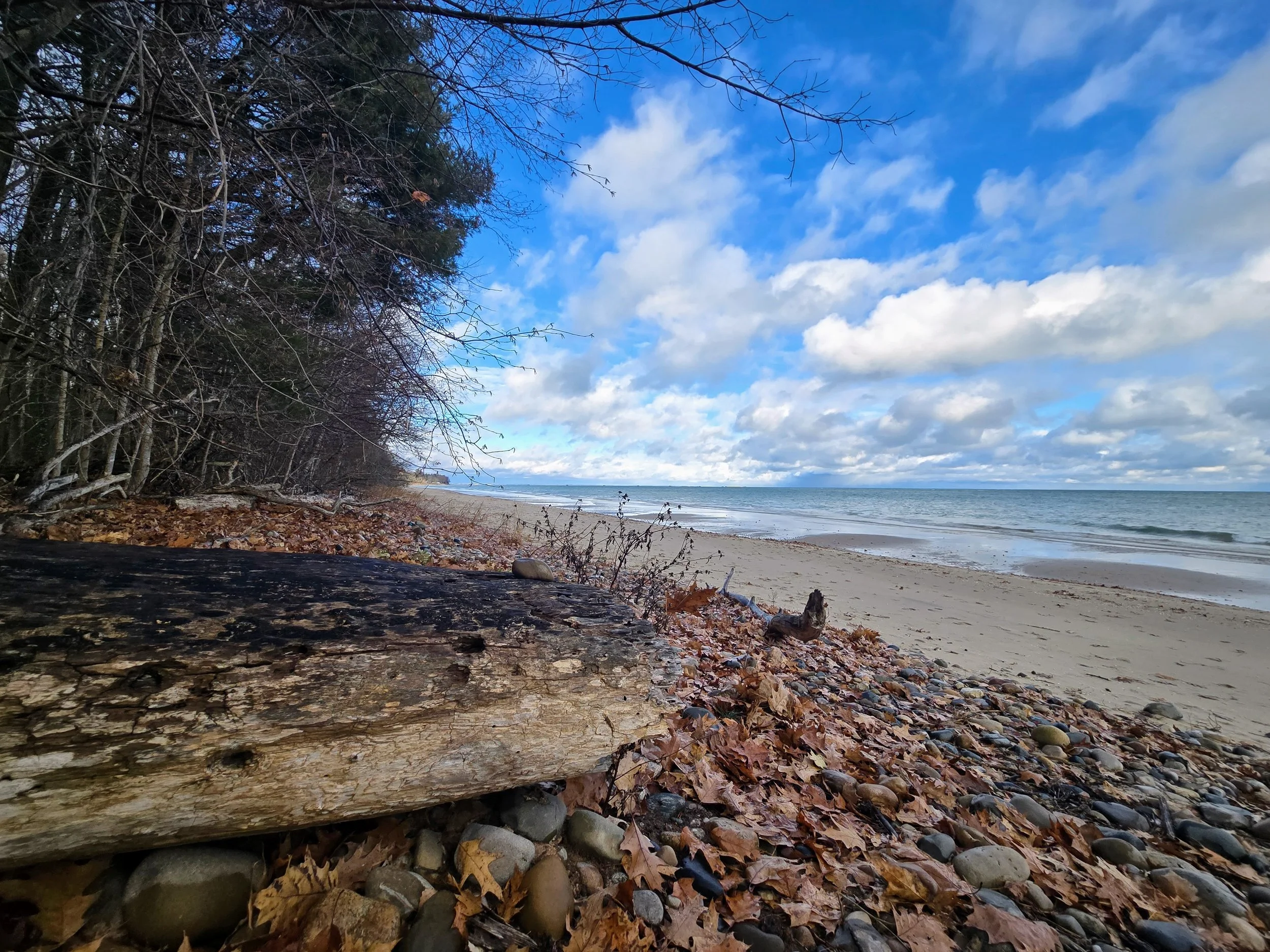 Planning for Resilient Shores: A Workshop Recap