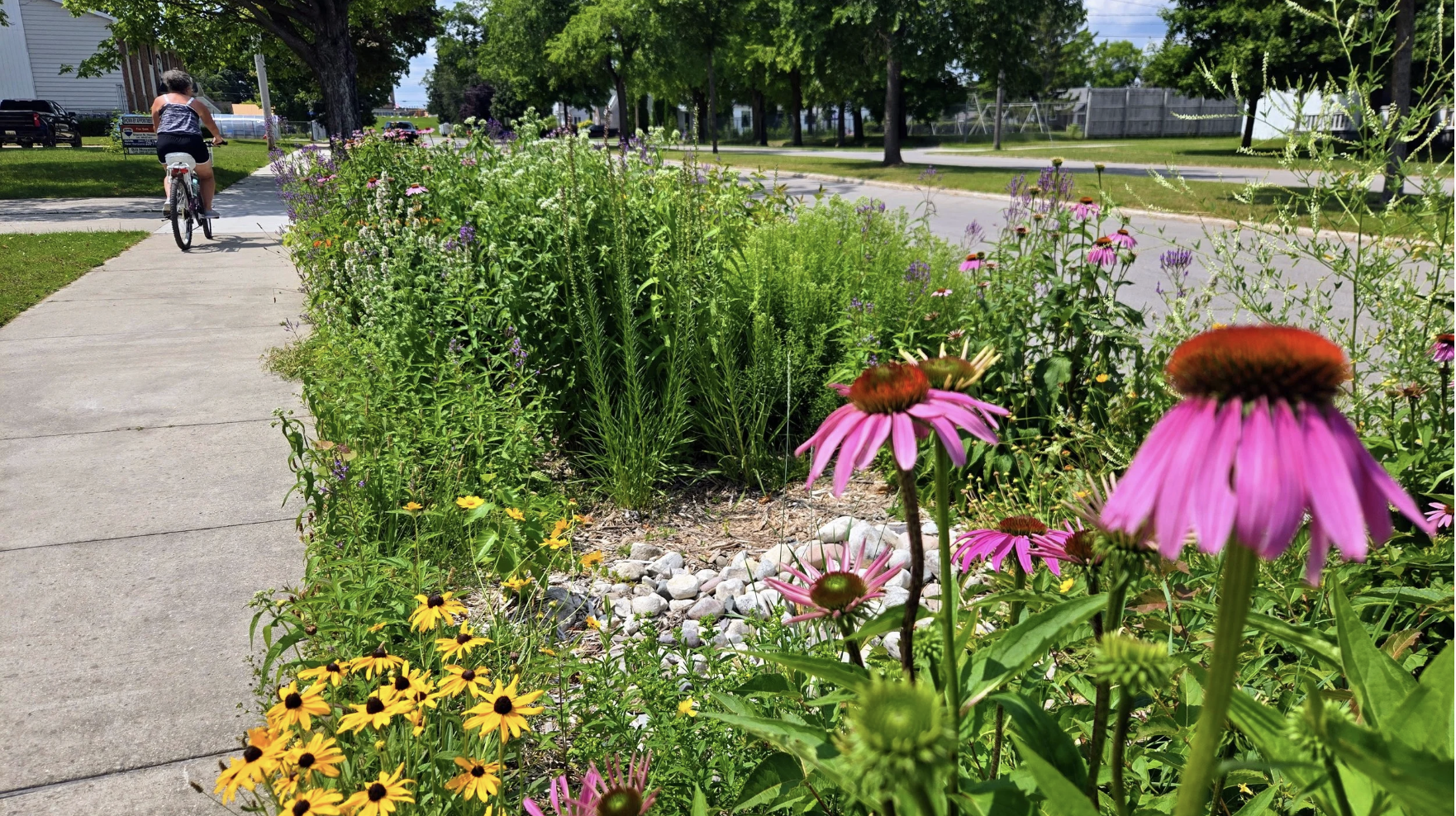 Alpena Takes Another Step Toward Cleaner Water with Two New Rain Gardens