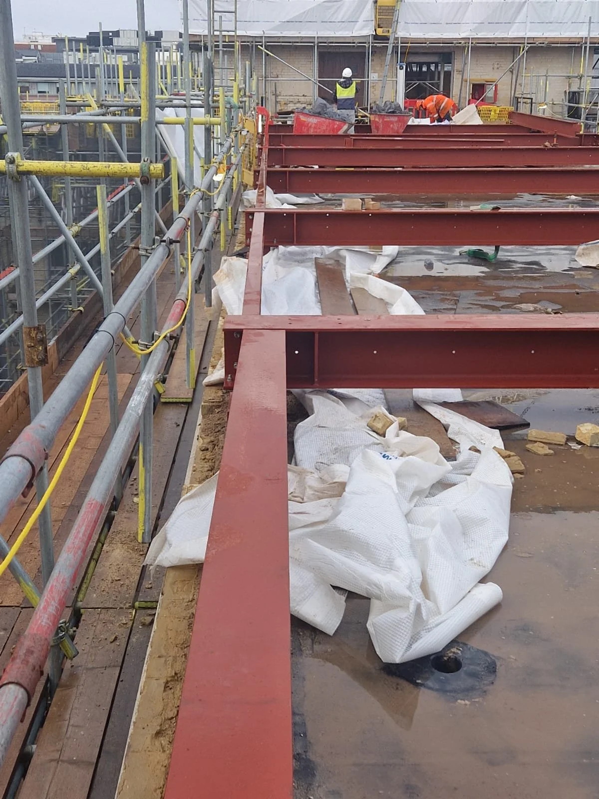 WhatsApp Image 2023-01-26 at 14.24.10 (3).jpeg