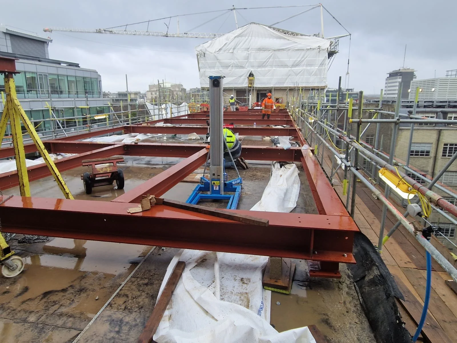 WhatsApp Image 2023-01-26 at 14.24.10.jpeg