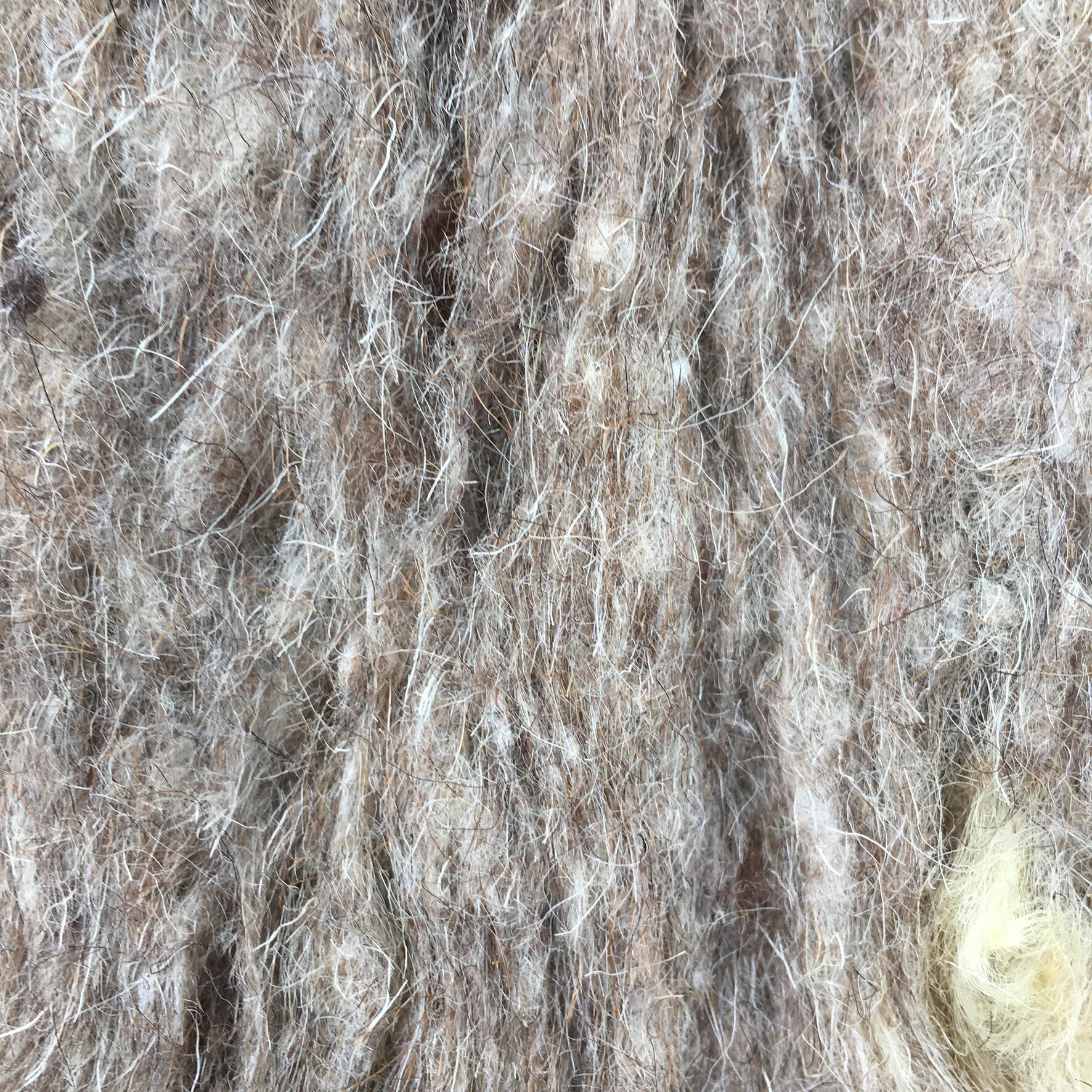 Building Simply 05: Eco-simplicity