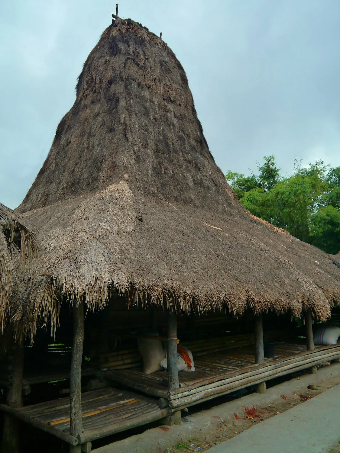 04E Tall roof form Indonesia Building Simply Amanda Spence Situated Studio.jpg