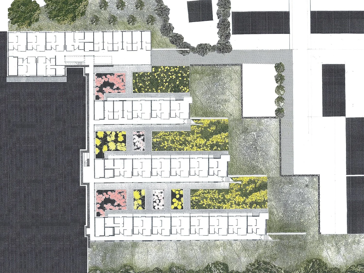 05 landscape annedd plan Building Simply Amanda Spence Situated Studio.jpg