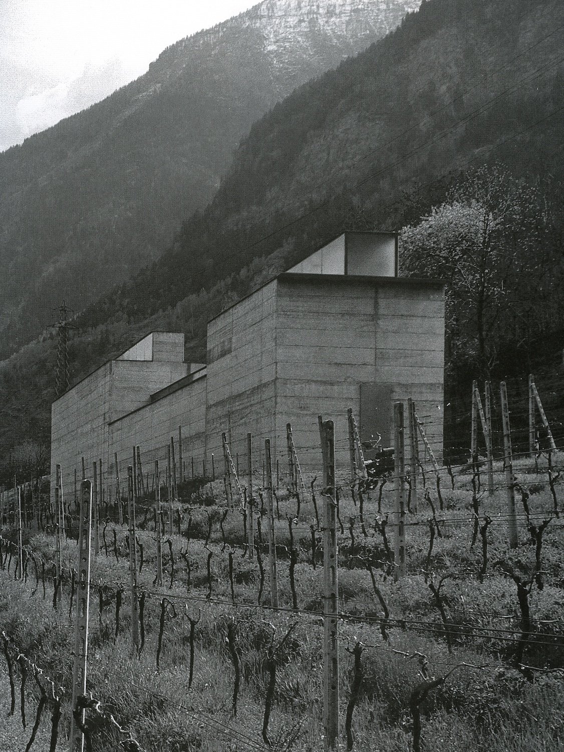 01F Markli 2Building Simply Amanda Spence Situated Studio.jpg