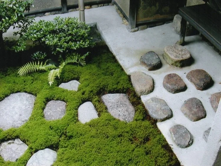 Japanese garden in and between observations 4_ALT-Architecture_Situated Studio.jpg