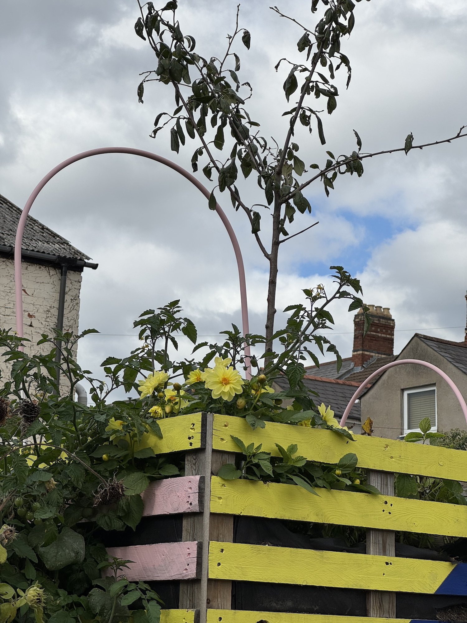 Greening Cathays community planters growing space Cardiff Situated Studio 09.jpg