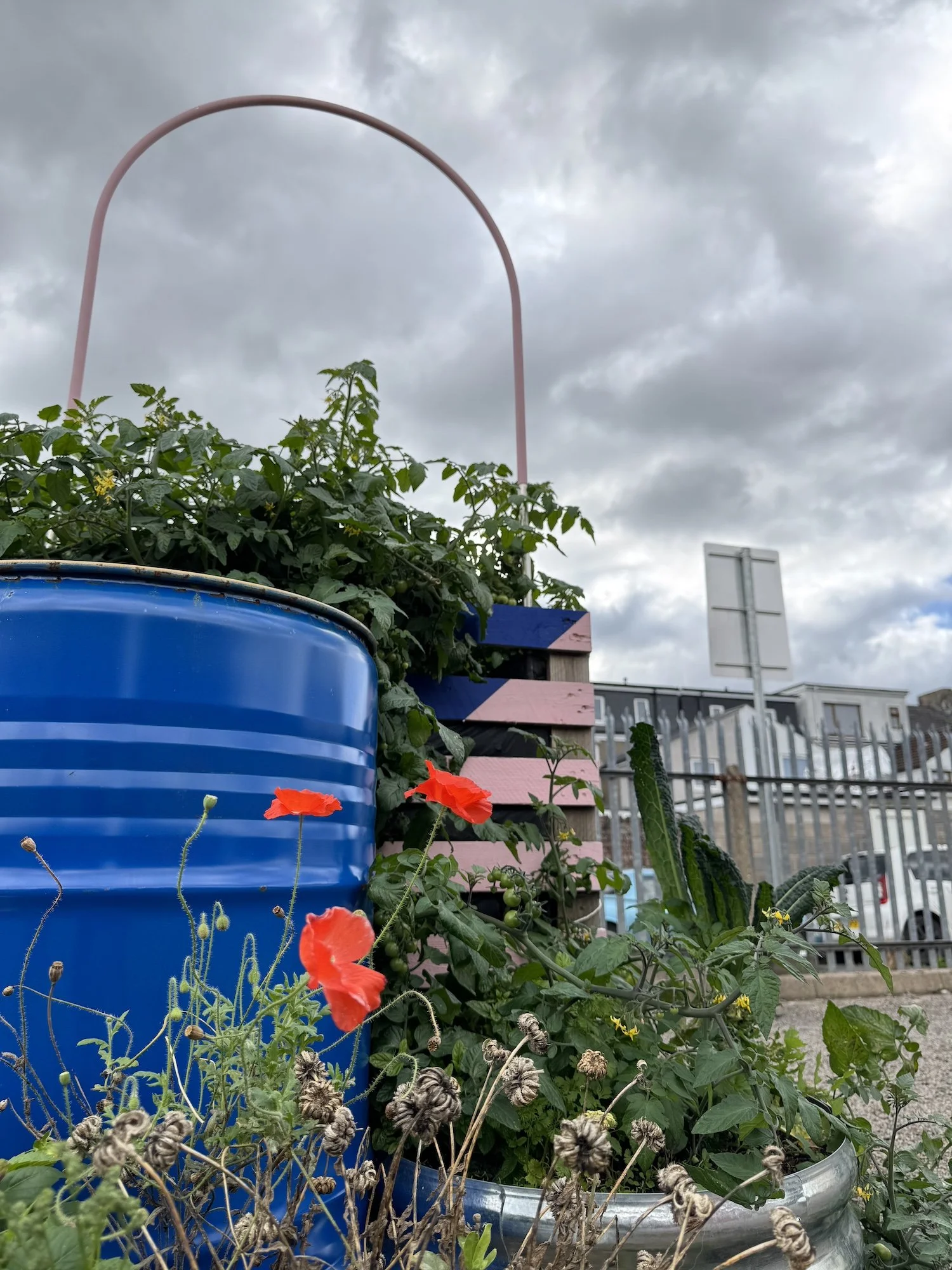 Greening Cathays community planters growing space Cardiff Situated Studio 12.jpg