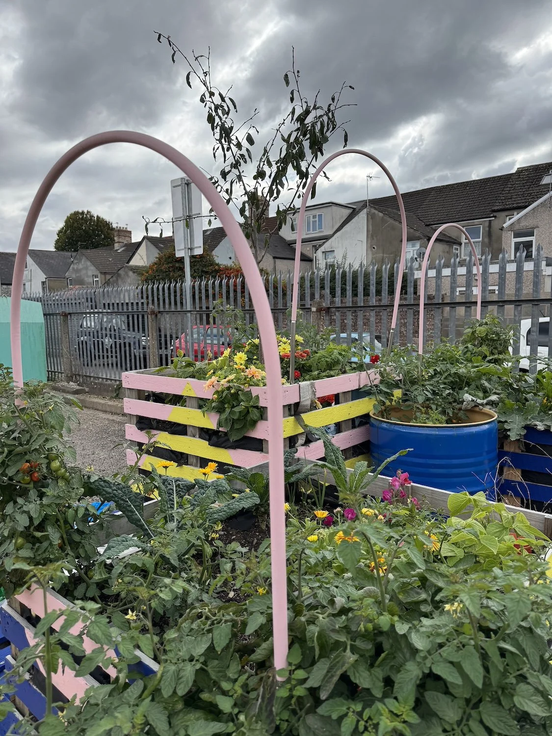 Greening Cathays community planters growing space Cardiff Situated Studio 11.jpg