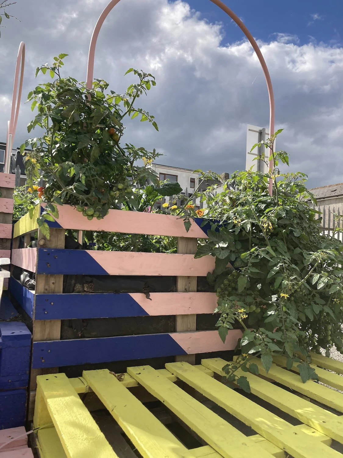 Greening Cathays community planters growing space Cardiff Situated Studio 01.jpg