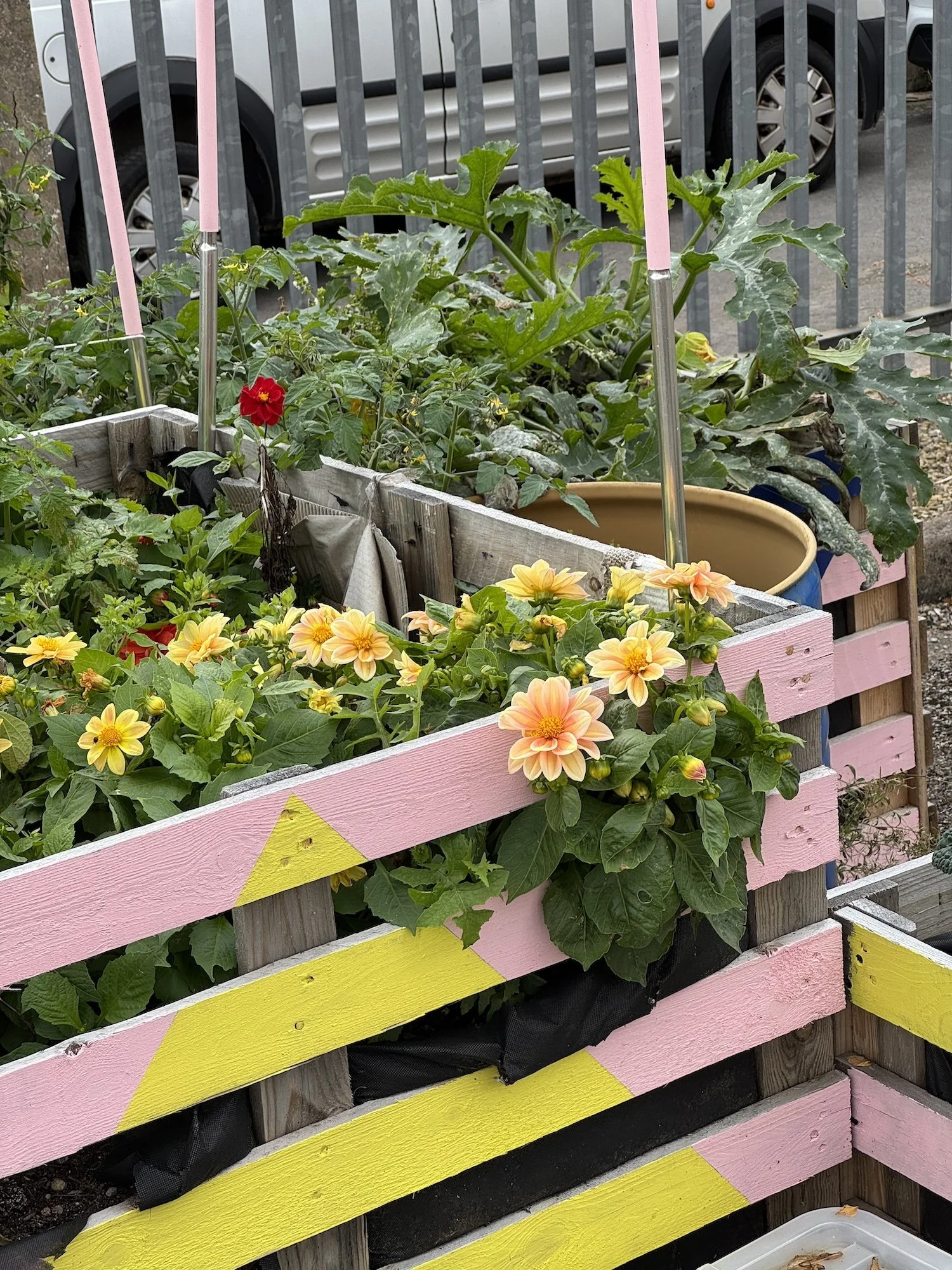 Greening Cathays community planters growing space Cardiff Situated Studio 10.jpg