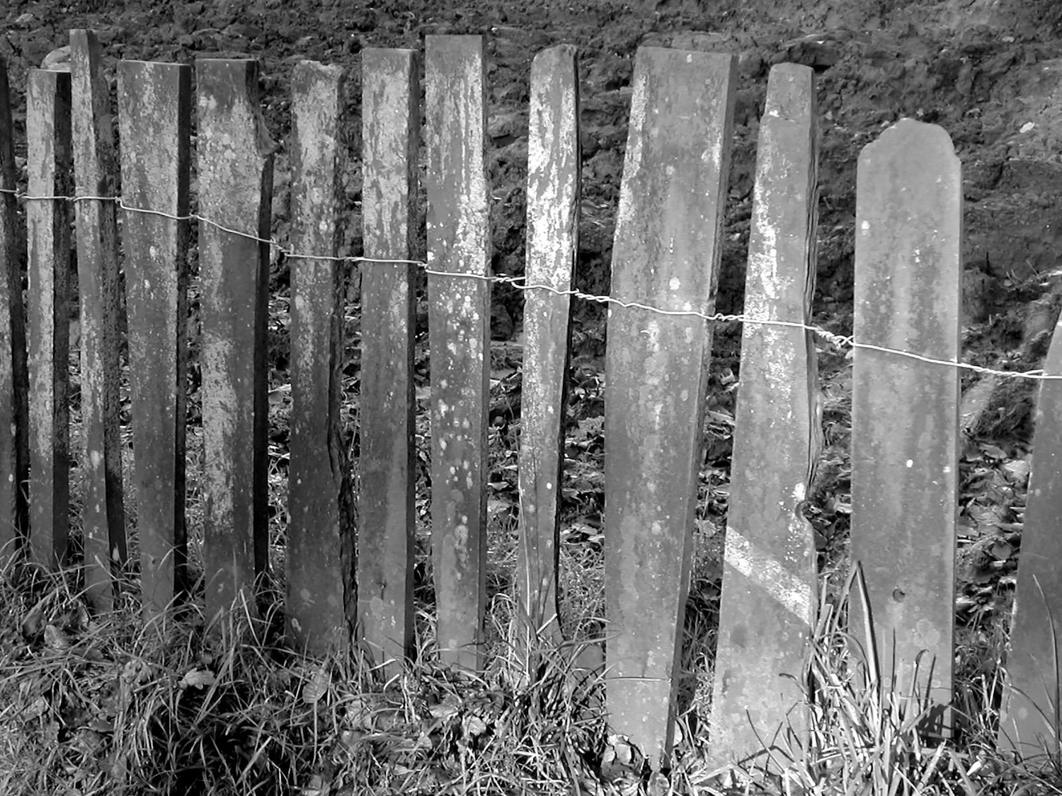 A fence made from narrow vertical slabs of slate joined together with wire, typical in north Wales.
