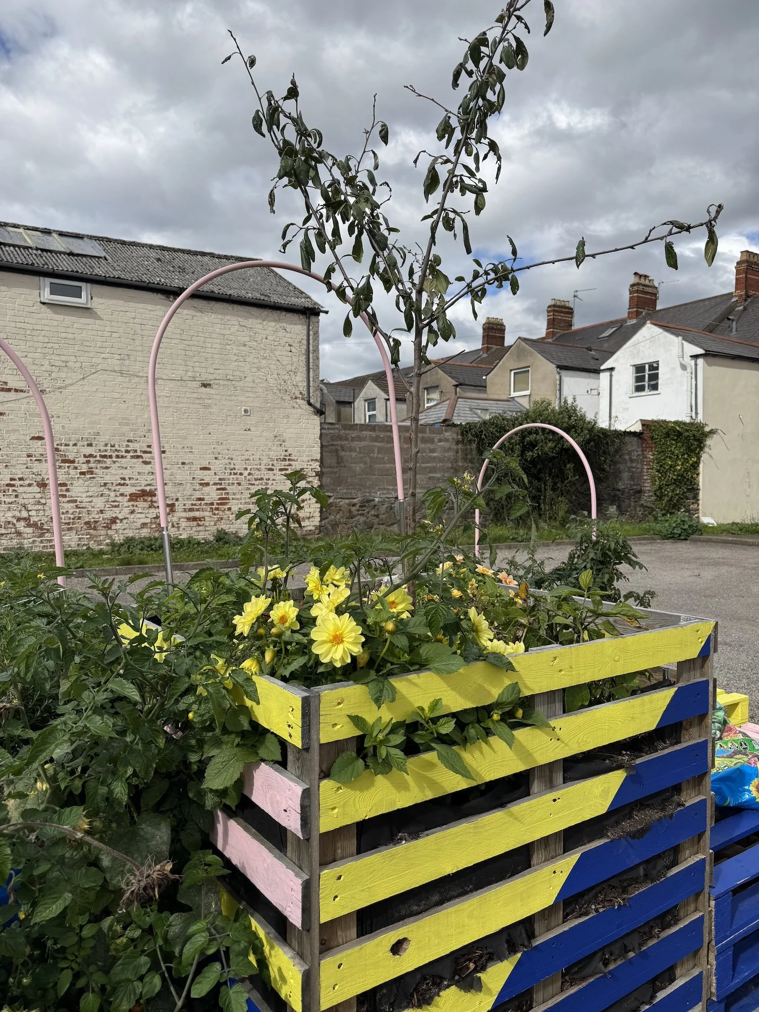 Greening Cathays community planters growing space Cardiff Situated Studio 08.jpg