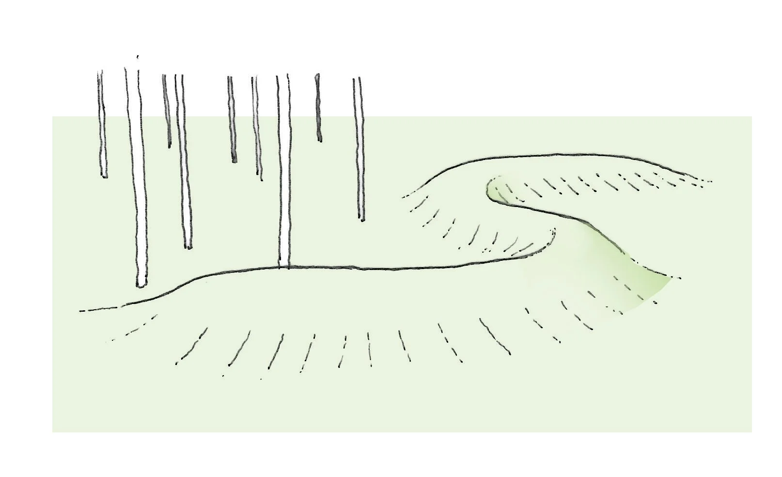 Grass Bank.jpg