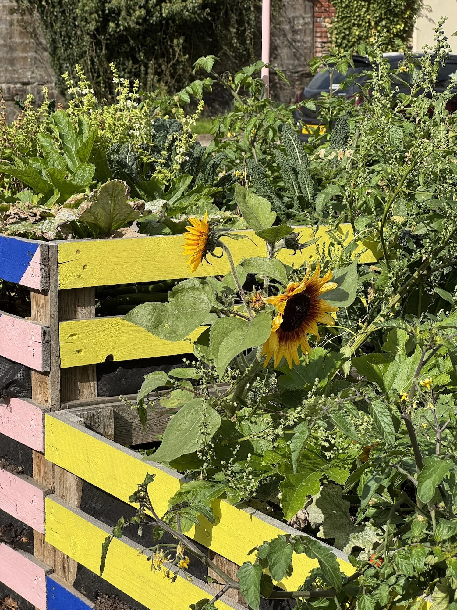 Greening Cathays community planters growing space Cardiff Situated Studio 05.jpg