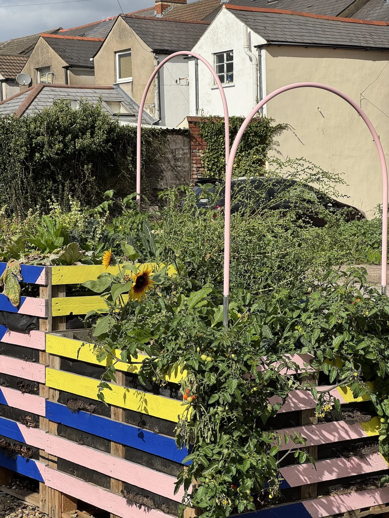 Greening Cathays Planters, Community Growing Space, Cardiff