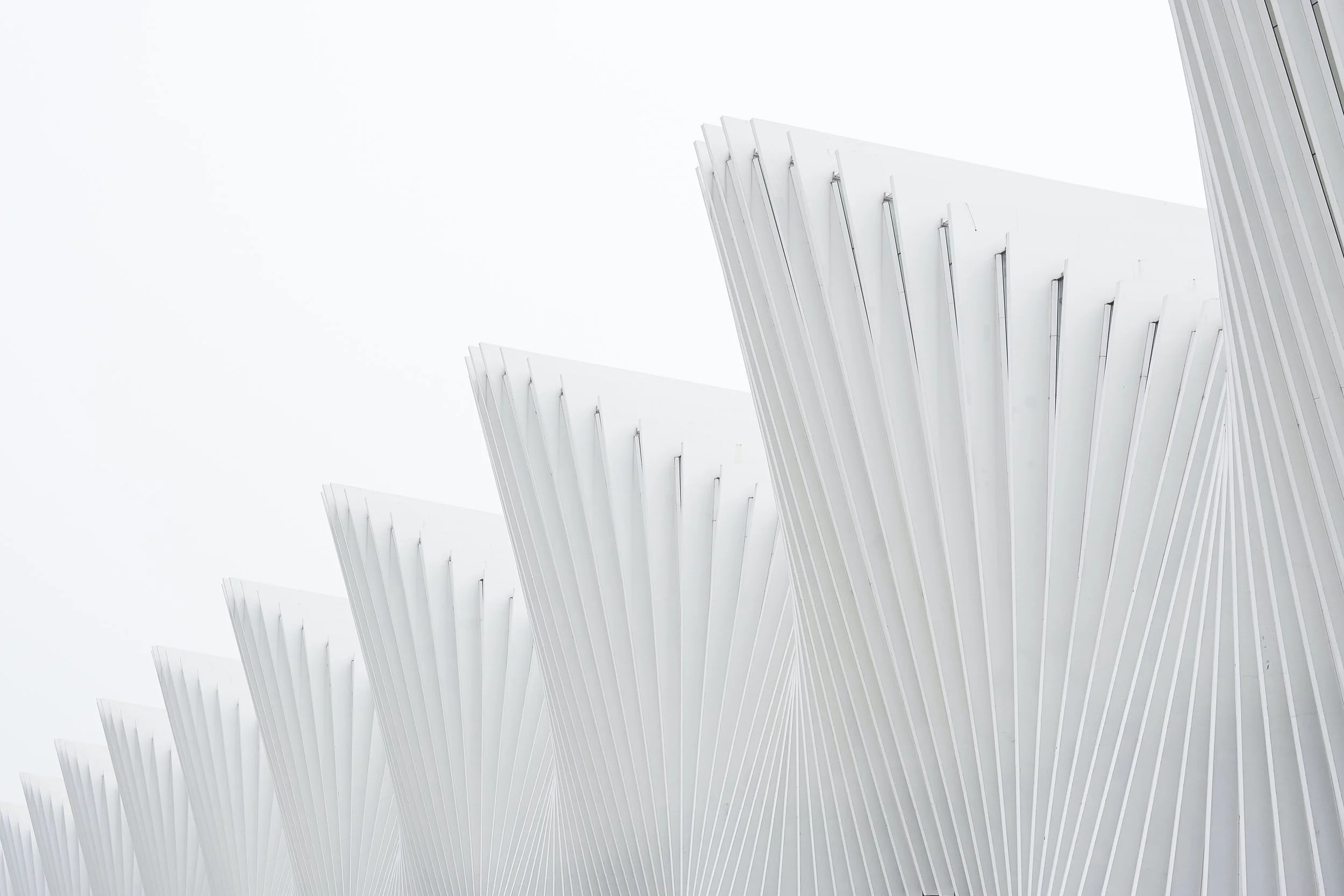 Thoughts become things