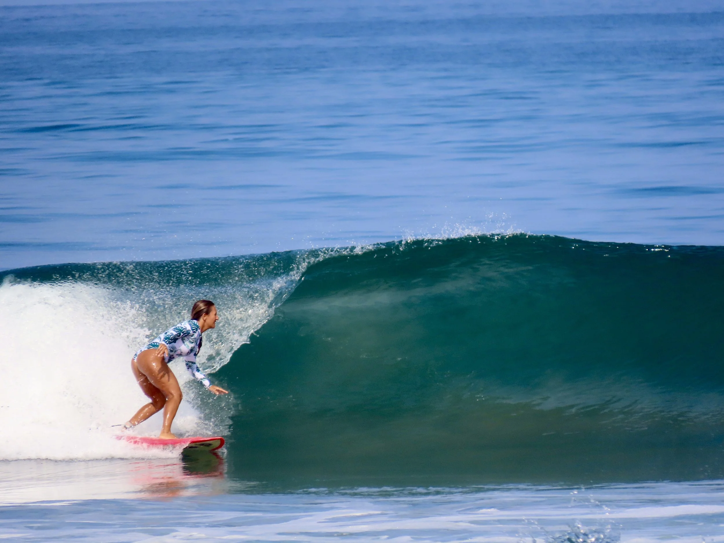Surf delivery — Surf report Olon