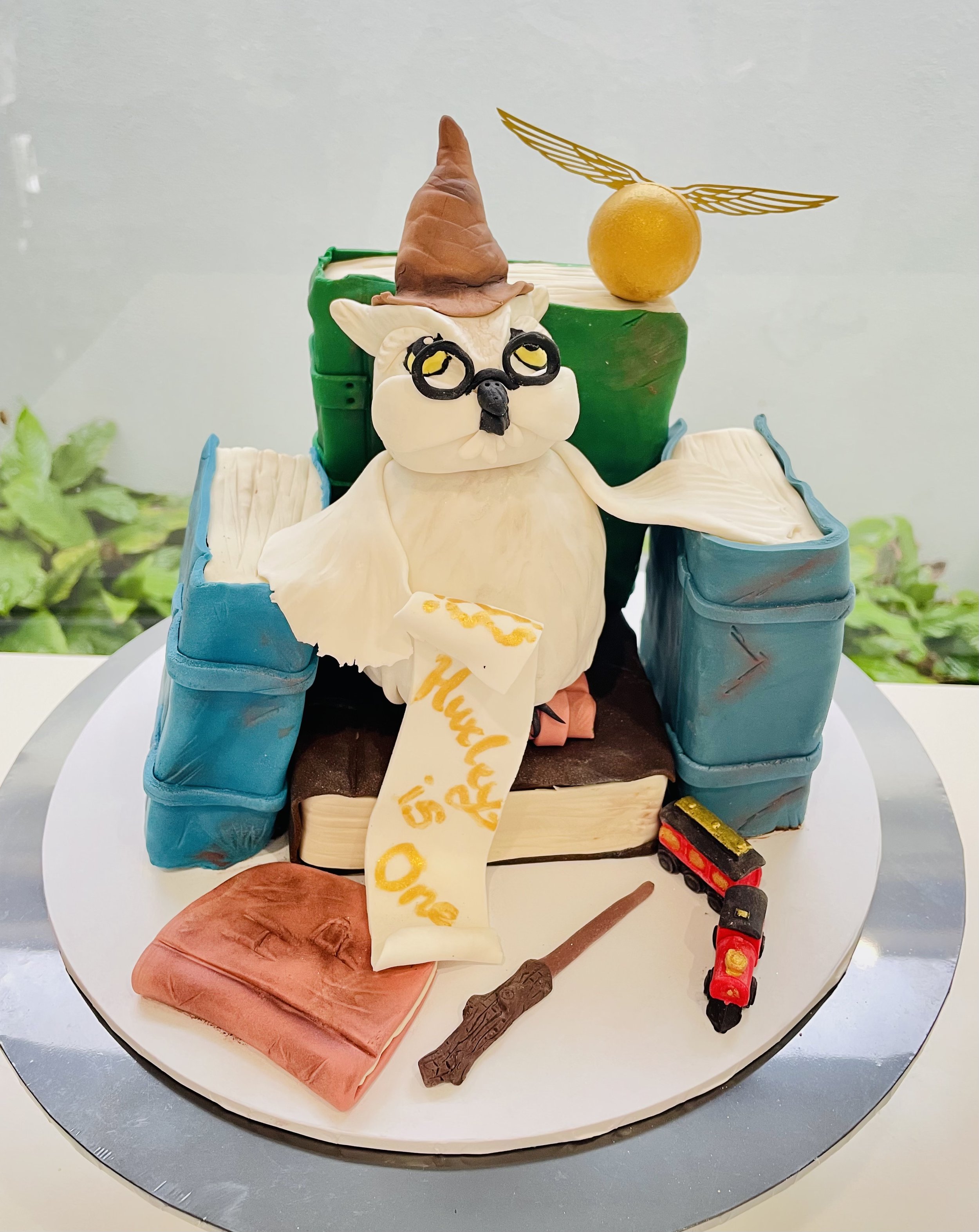 Harry Potter Owl Cake.JPG