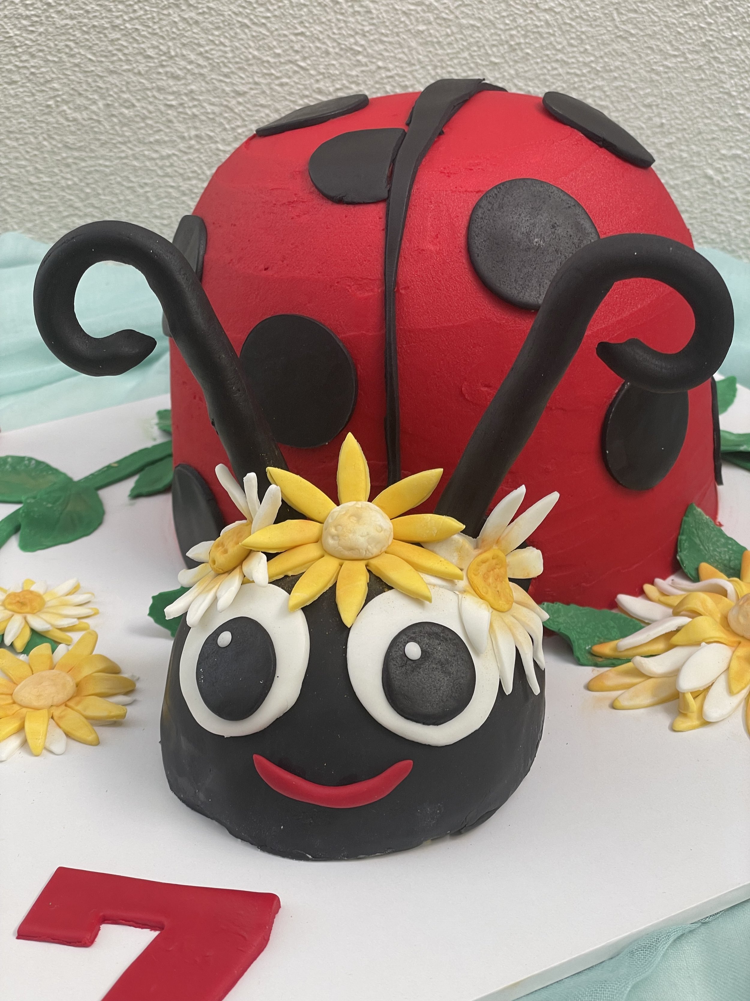Ladybug Cake.JPG