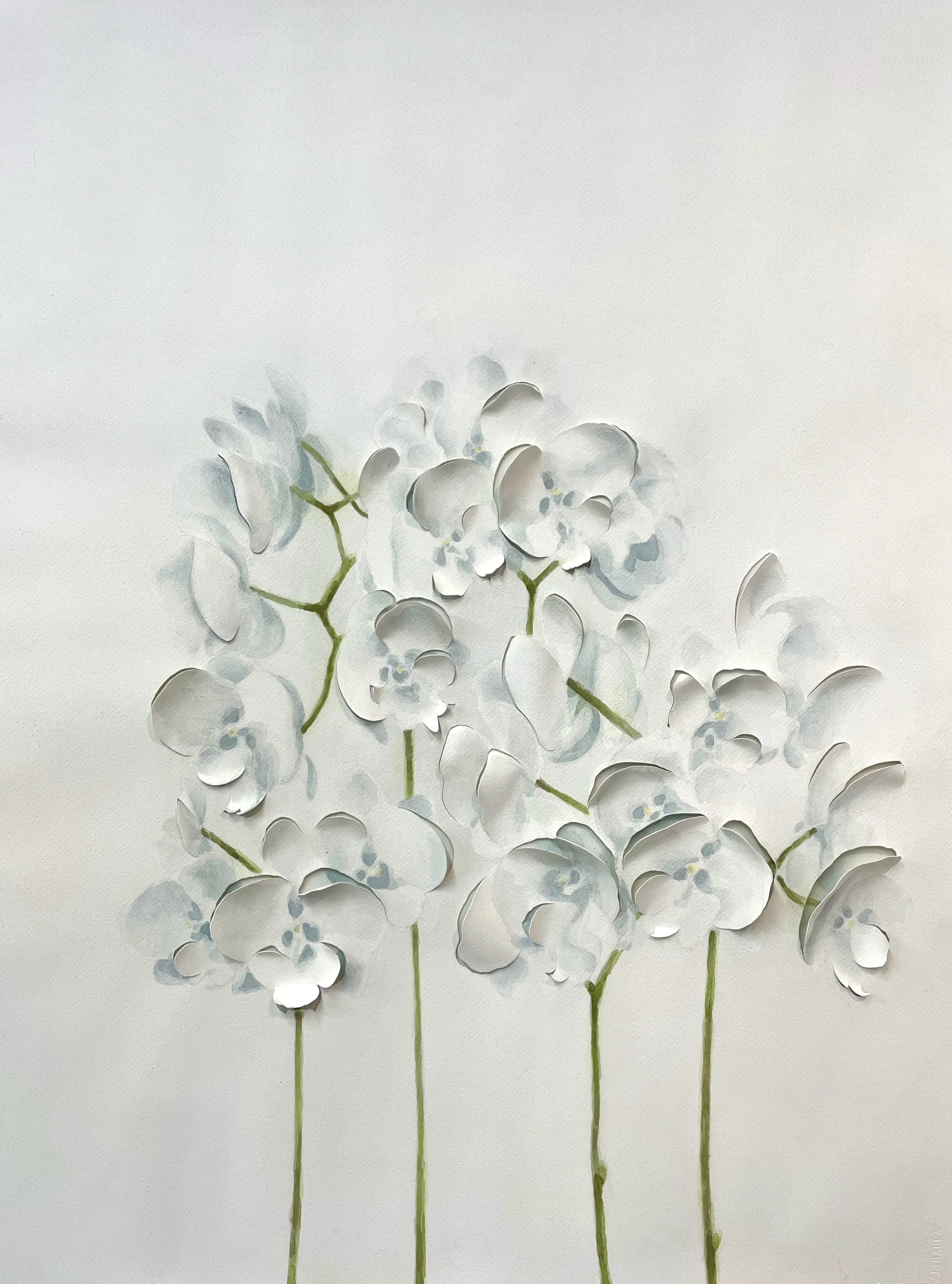 A Study of Orchids, 2025; Watercolor on shaped paper, 24 x 36 inches